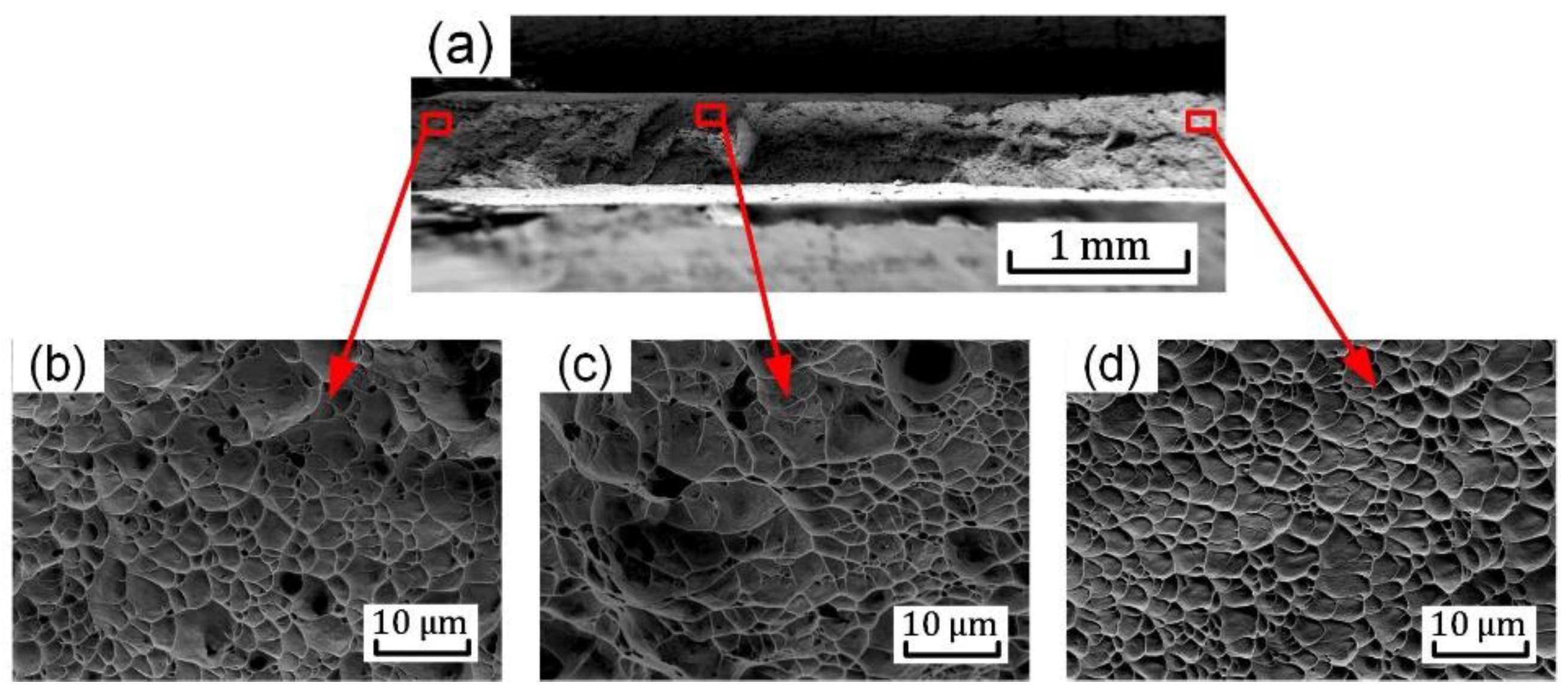 Materials 15 03429 g013