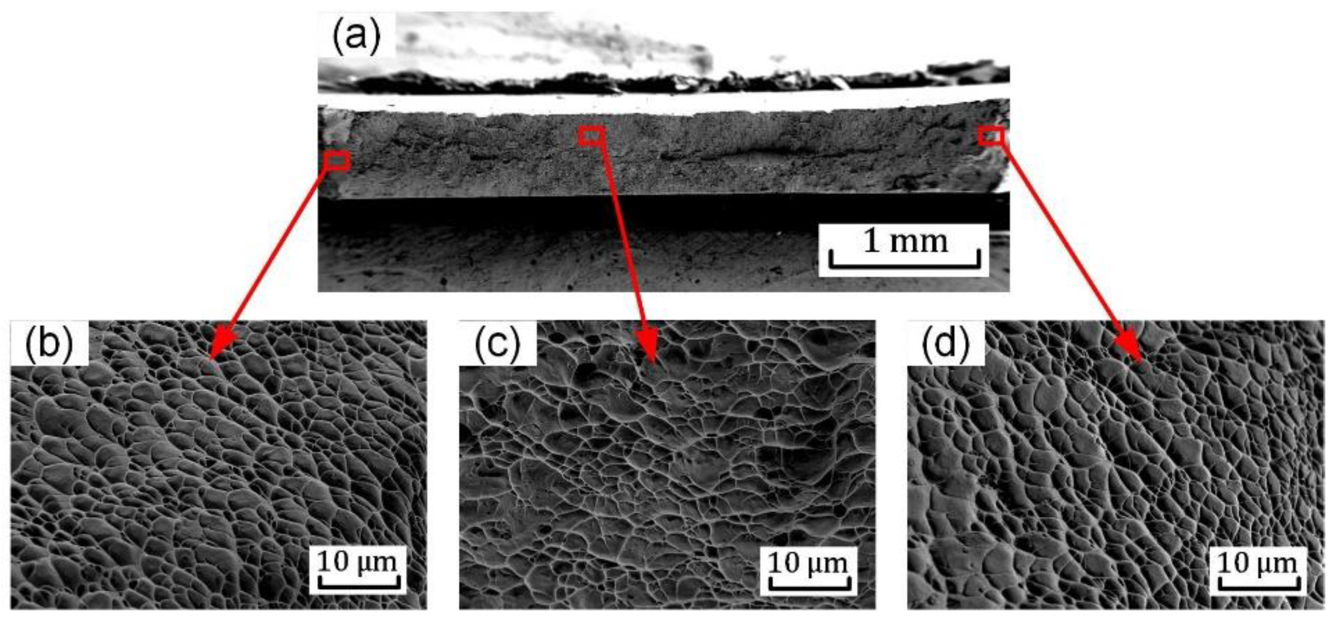 Materials 15 03429 g014