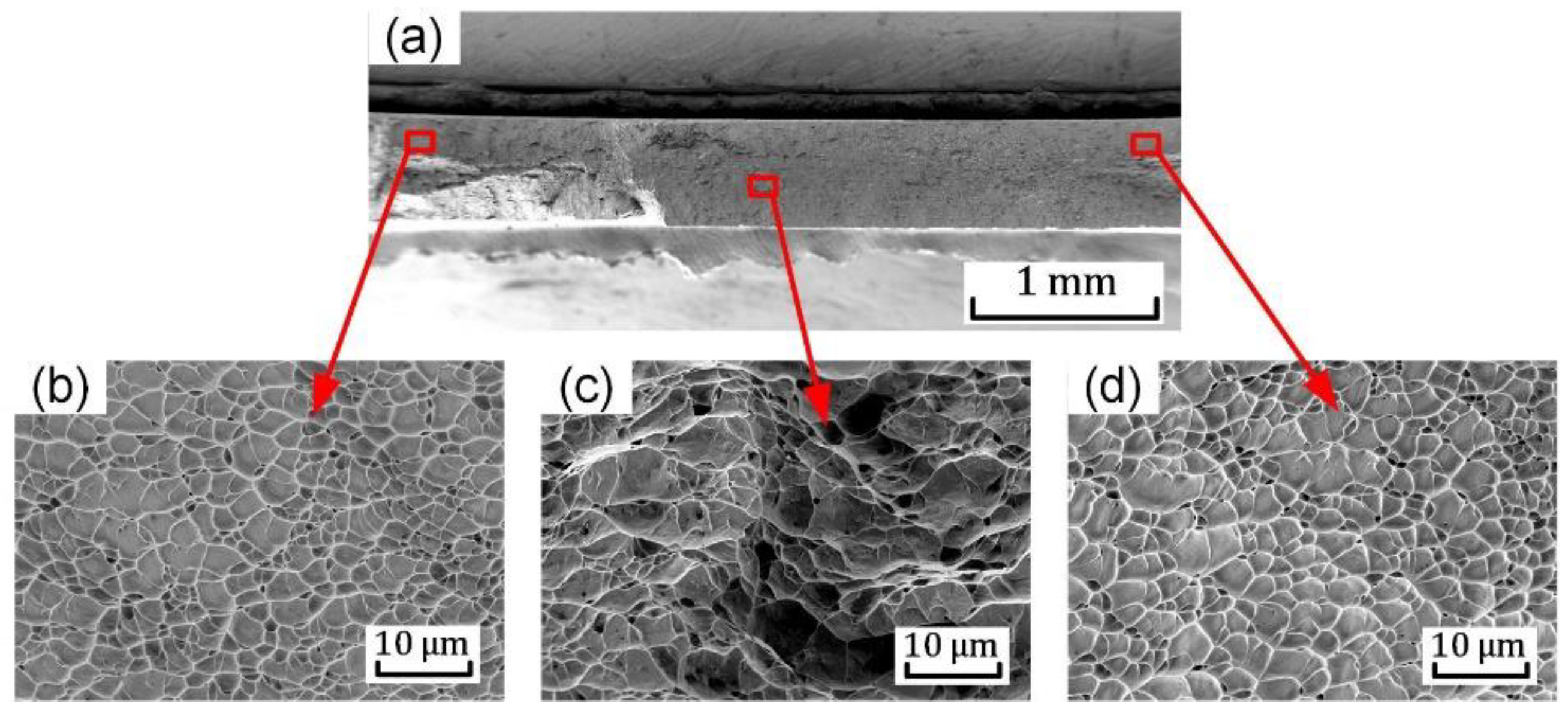 Materials 15 03429 g015