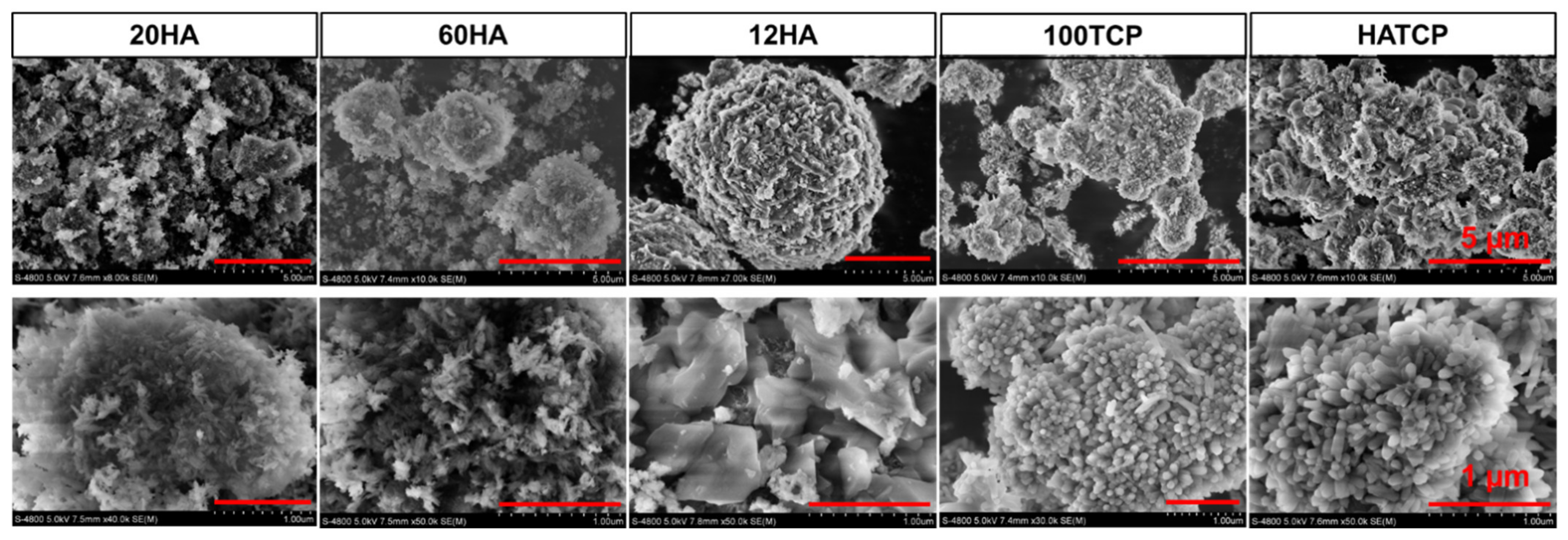 Materials 15 03440 g002