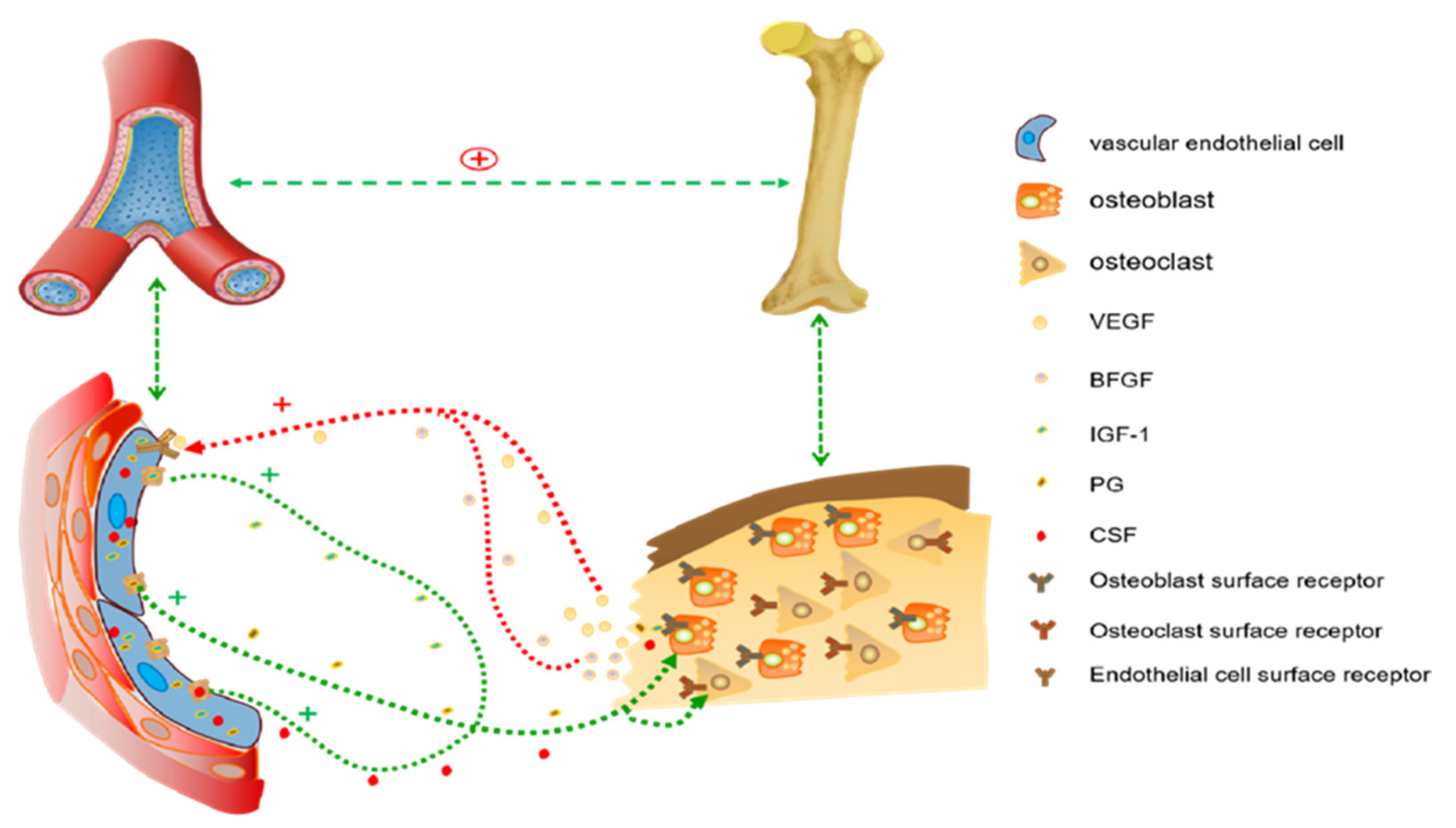 Materials 15 03440 g006