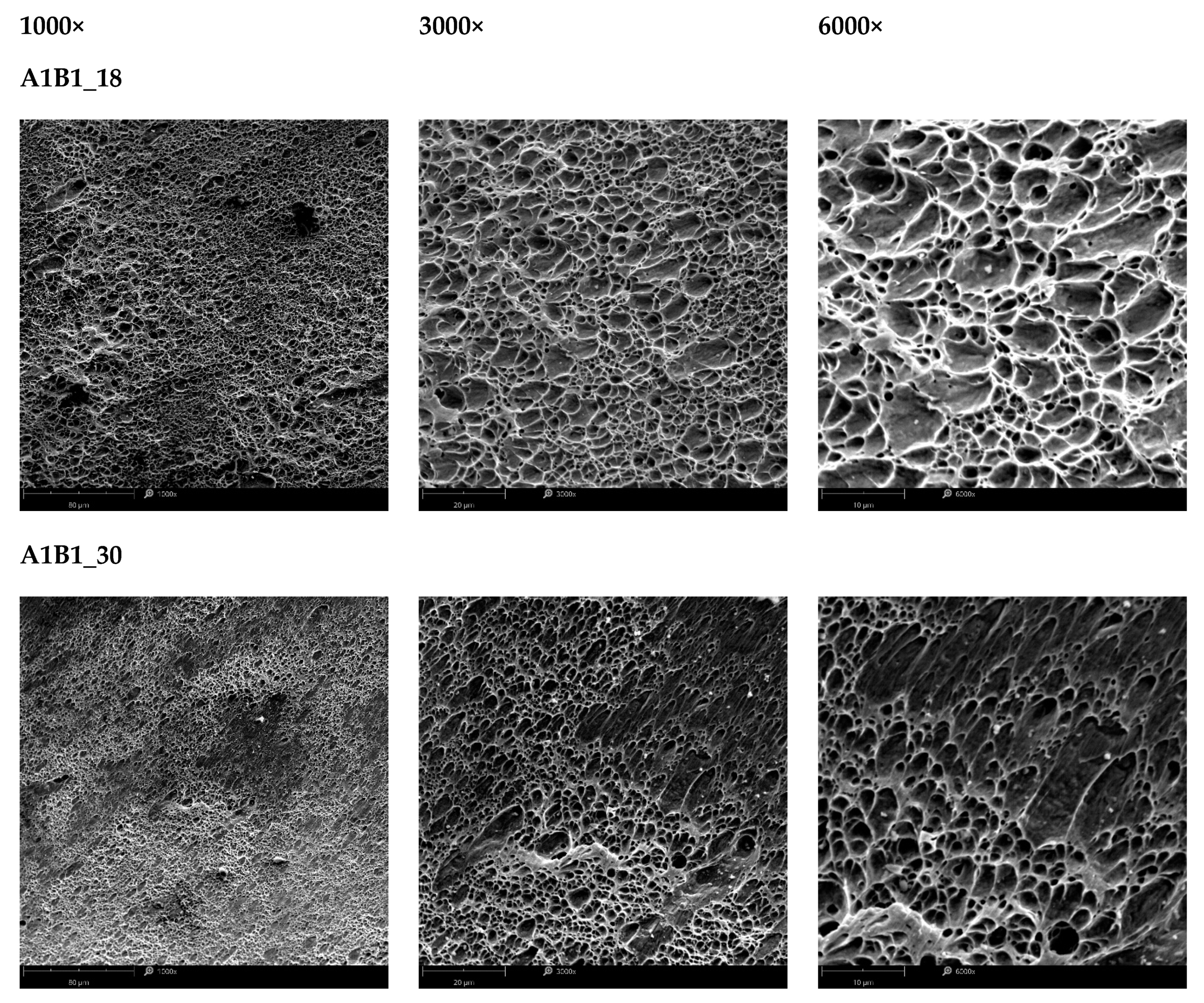 Materials 15 03575 g0a8a Materials 15 03575 g0a8a