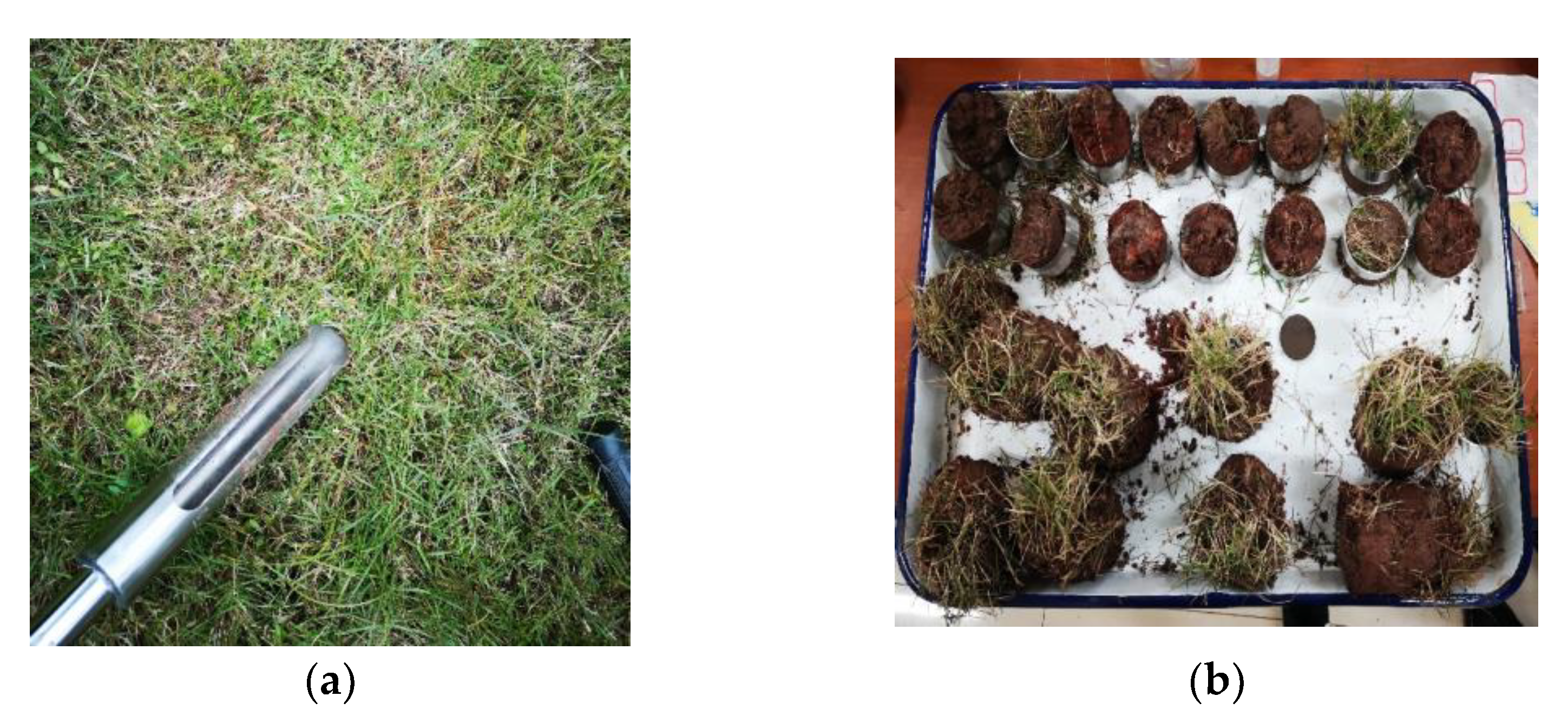 Materials 15 03586 g001