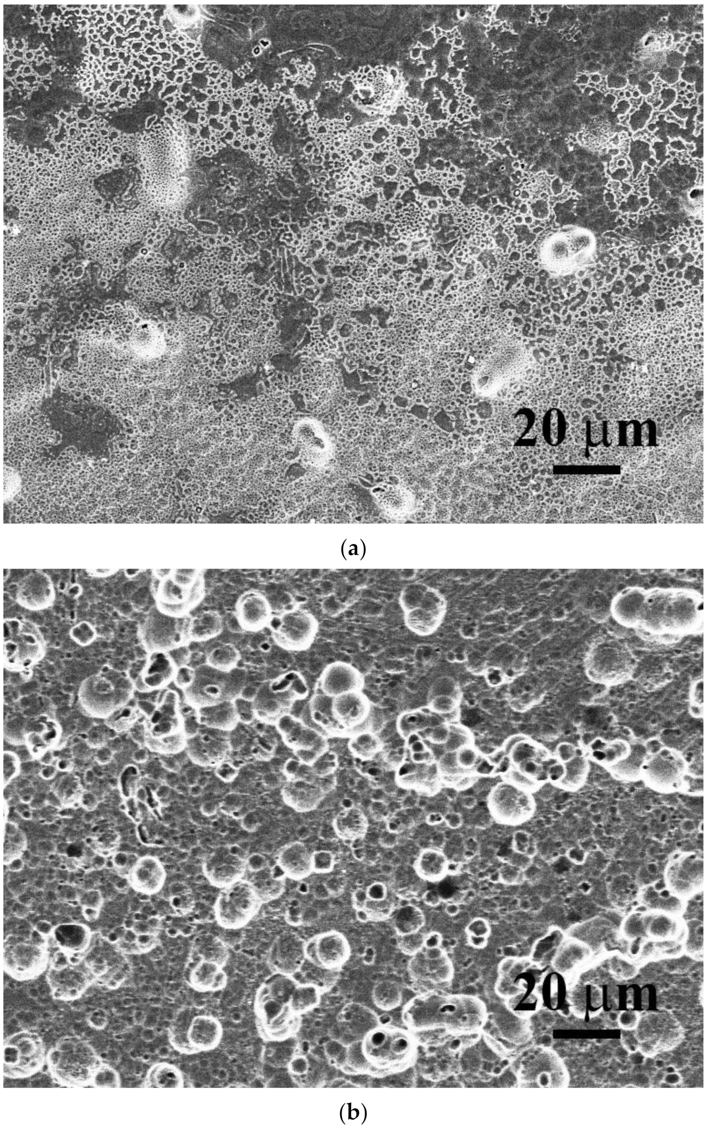 Materials 15 03639 g005