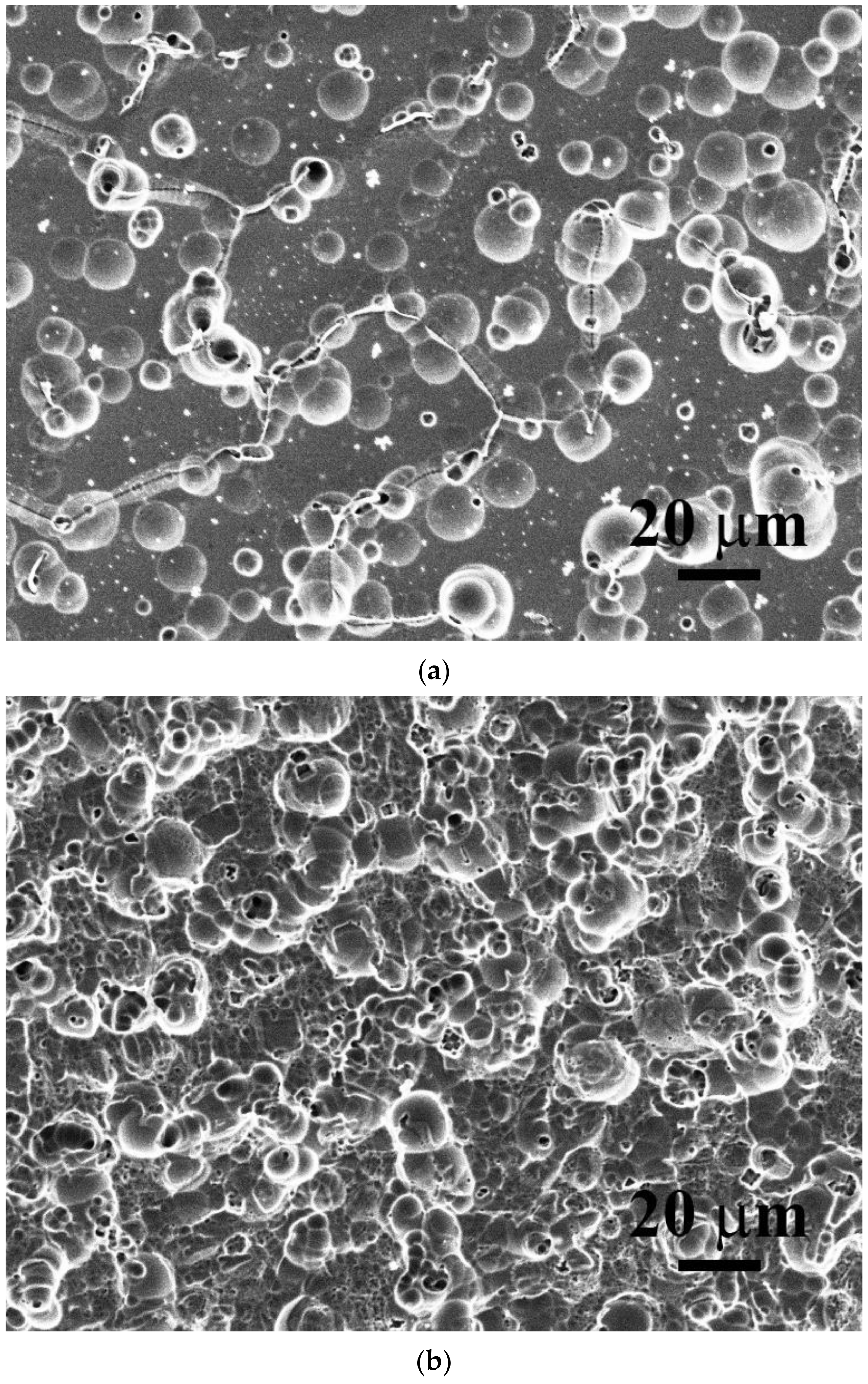 Materials 15 03639 g008