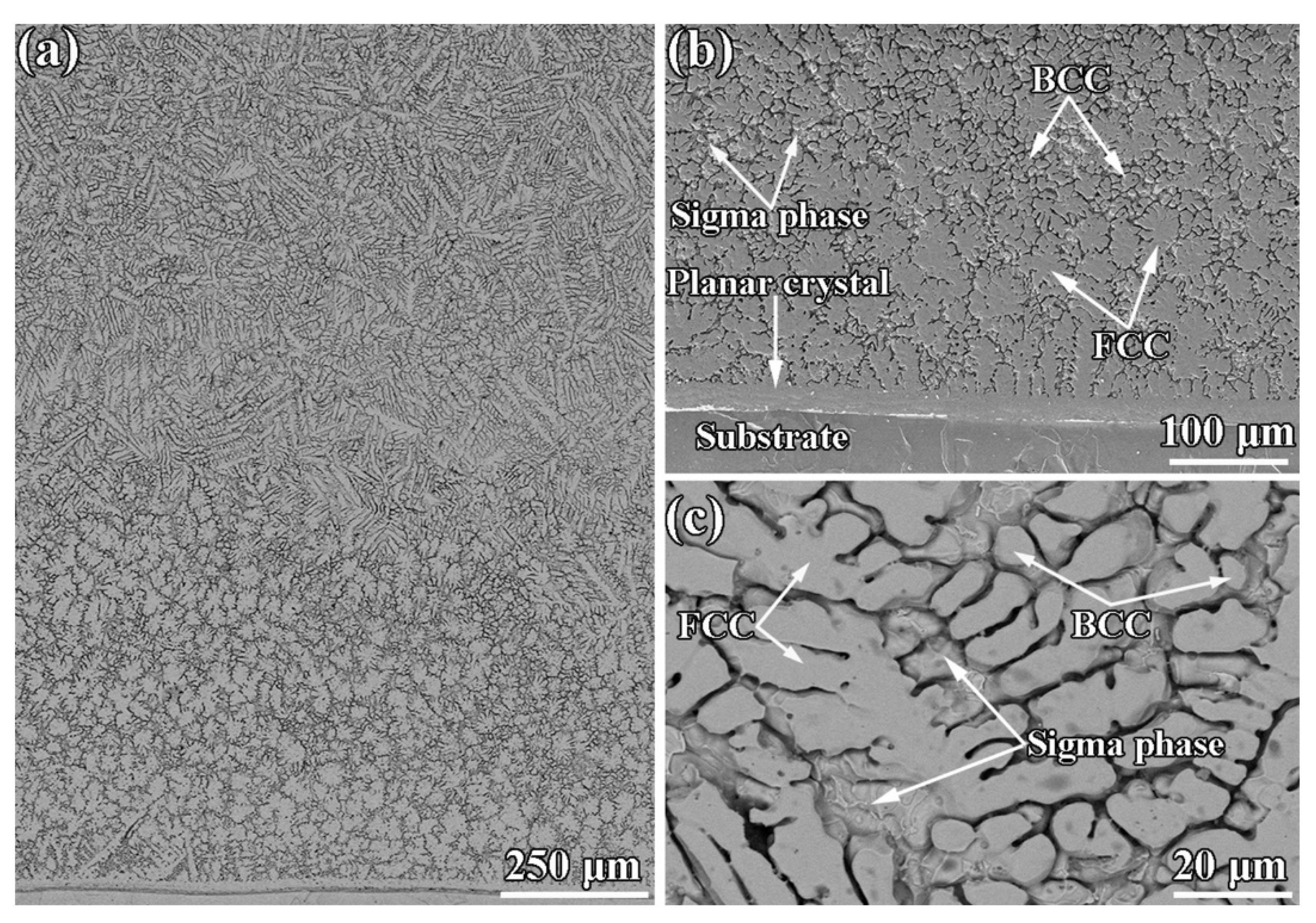 Materials 15 03699 g023