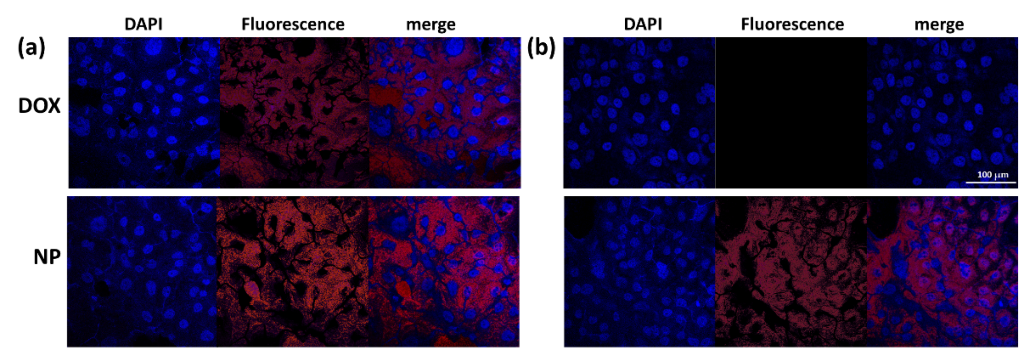 Materials 15 03795 g007 Materials 15 03795 g007