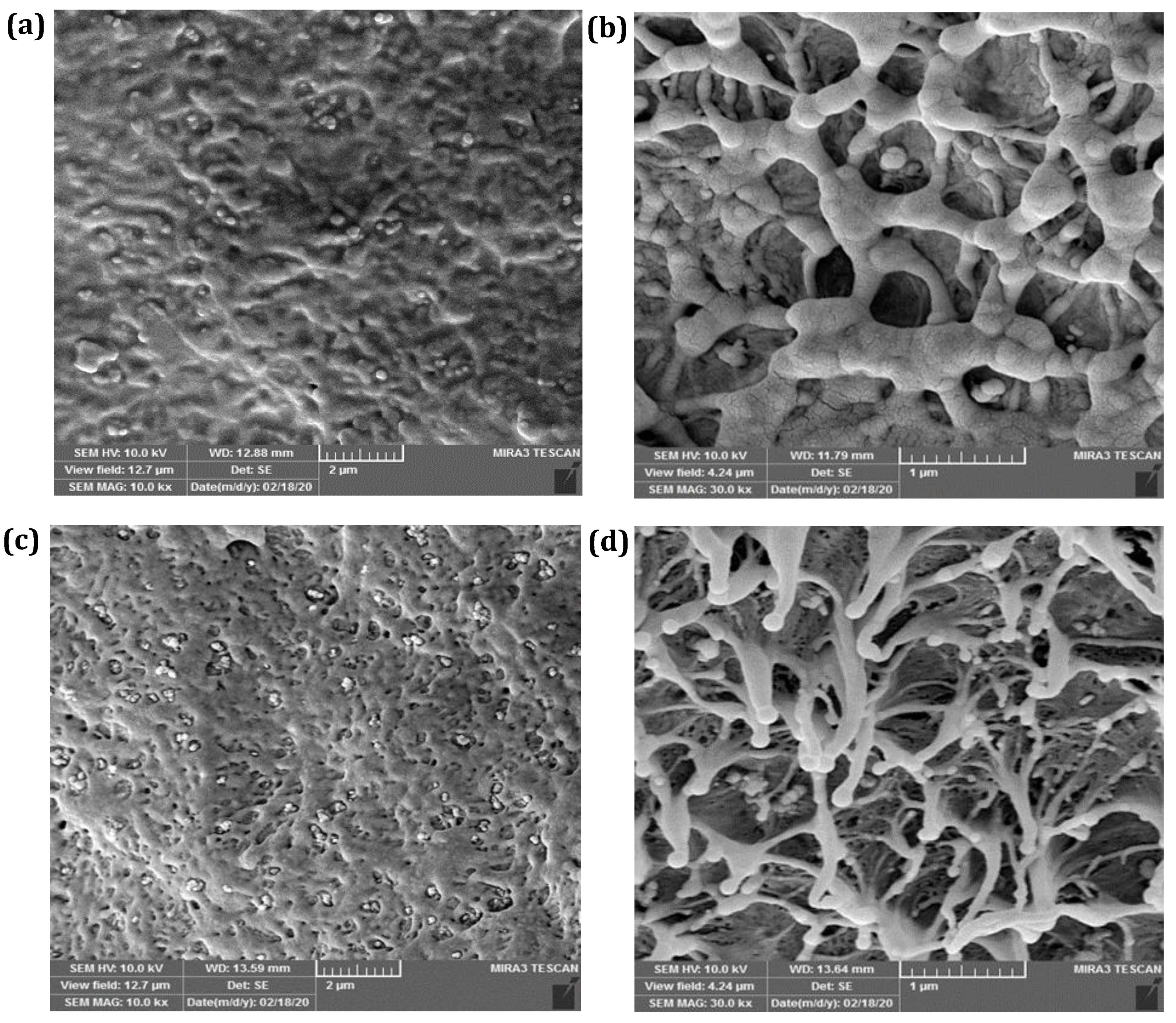 Materials 15 03810 g011