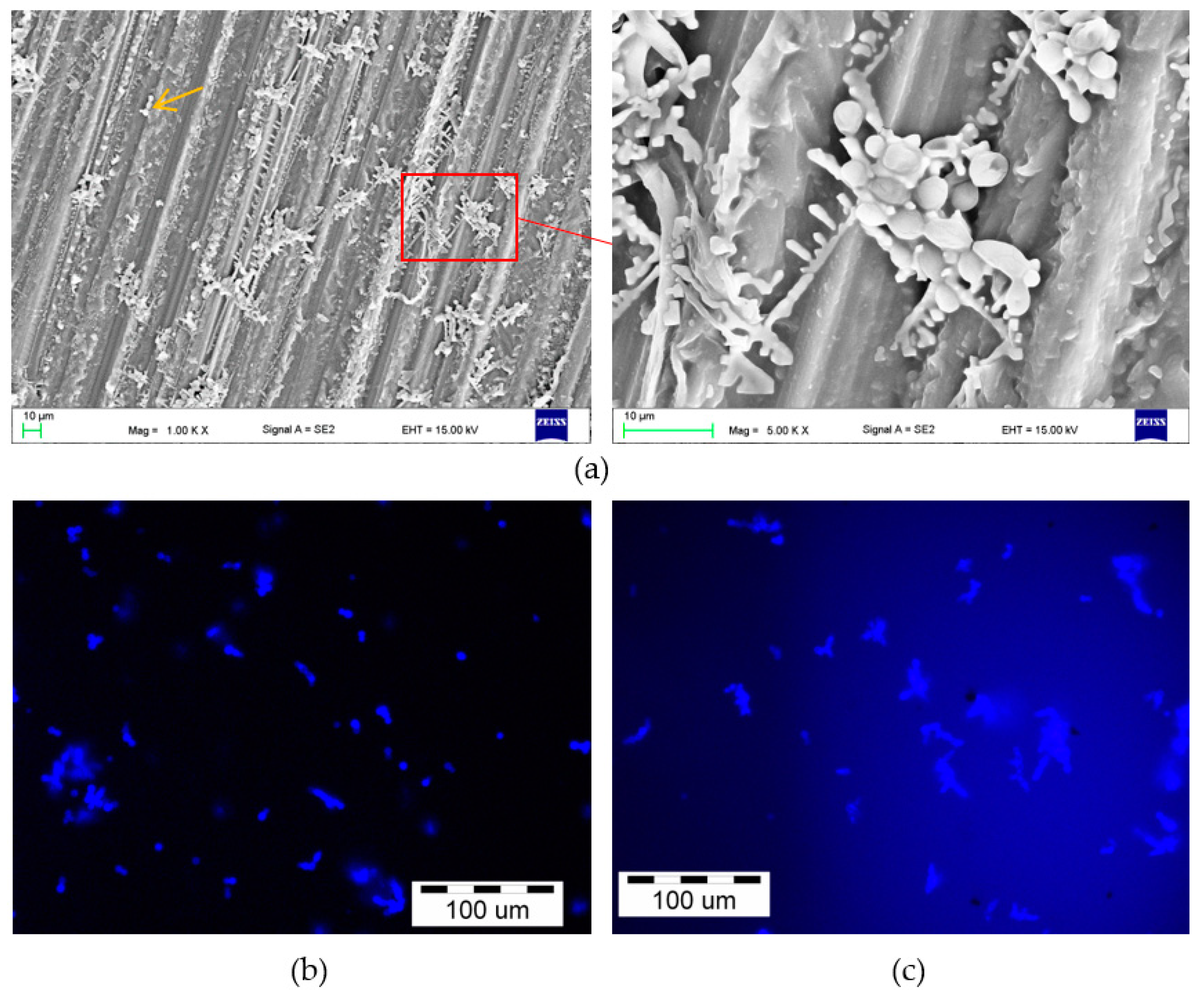 Materials 15 03841 g005