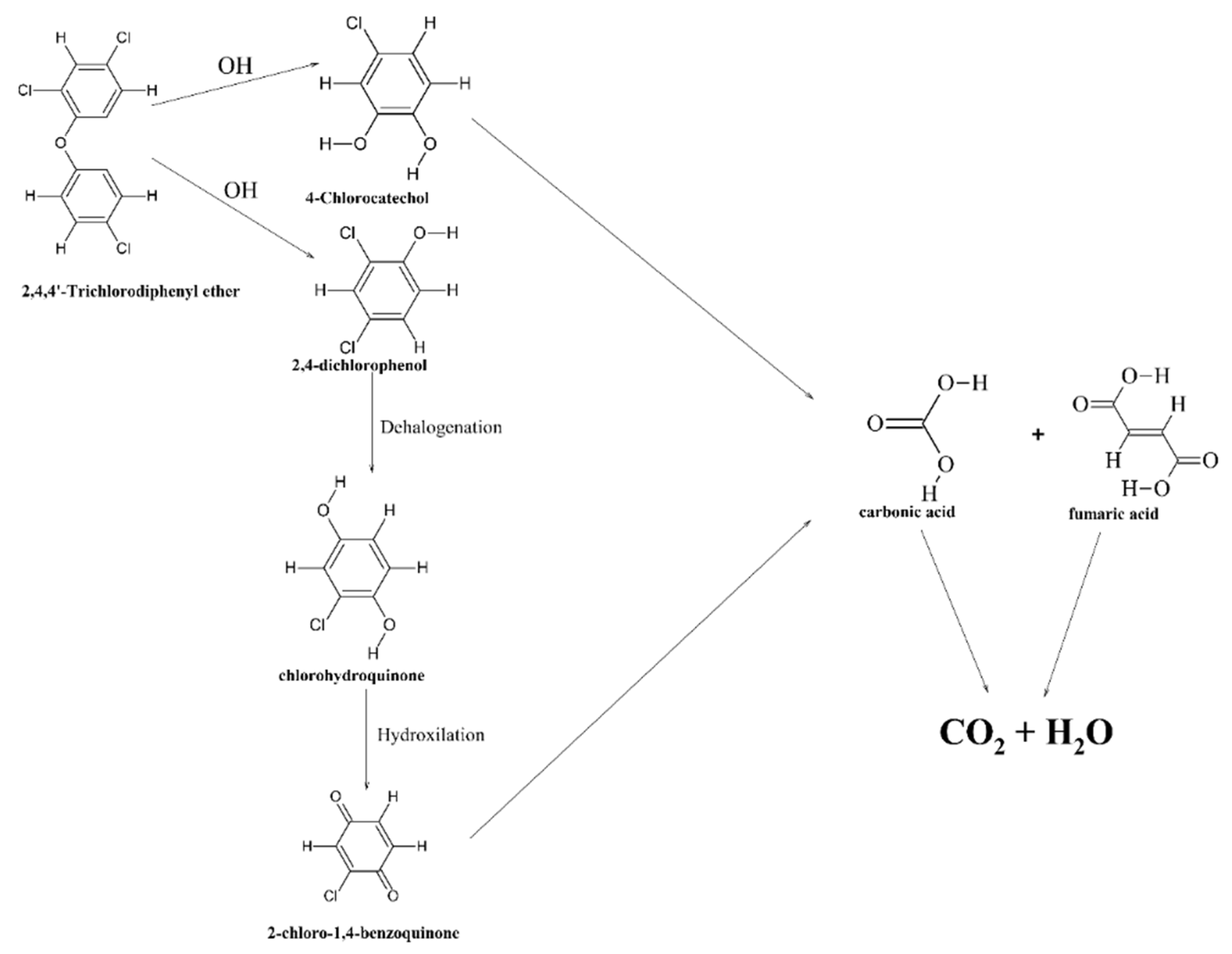 Materials 15 03850 g005