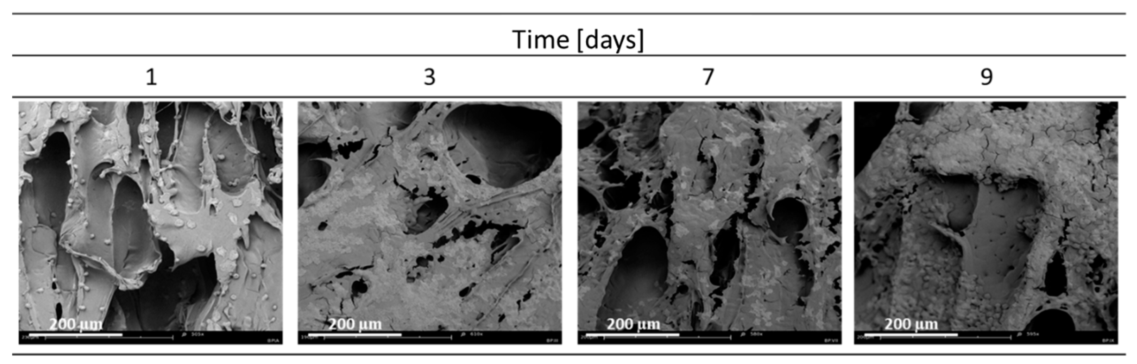Materials 15 03858 g001