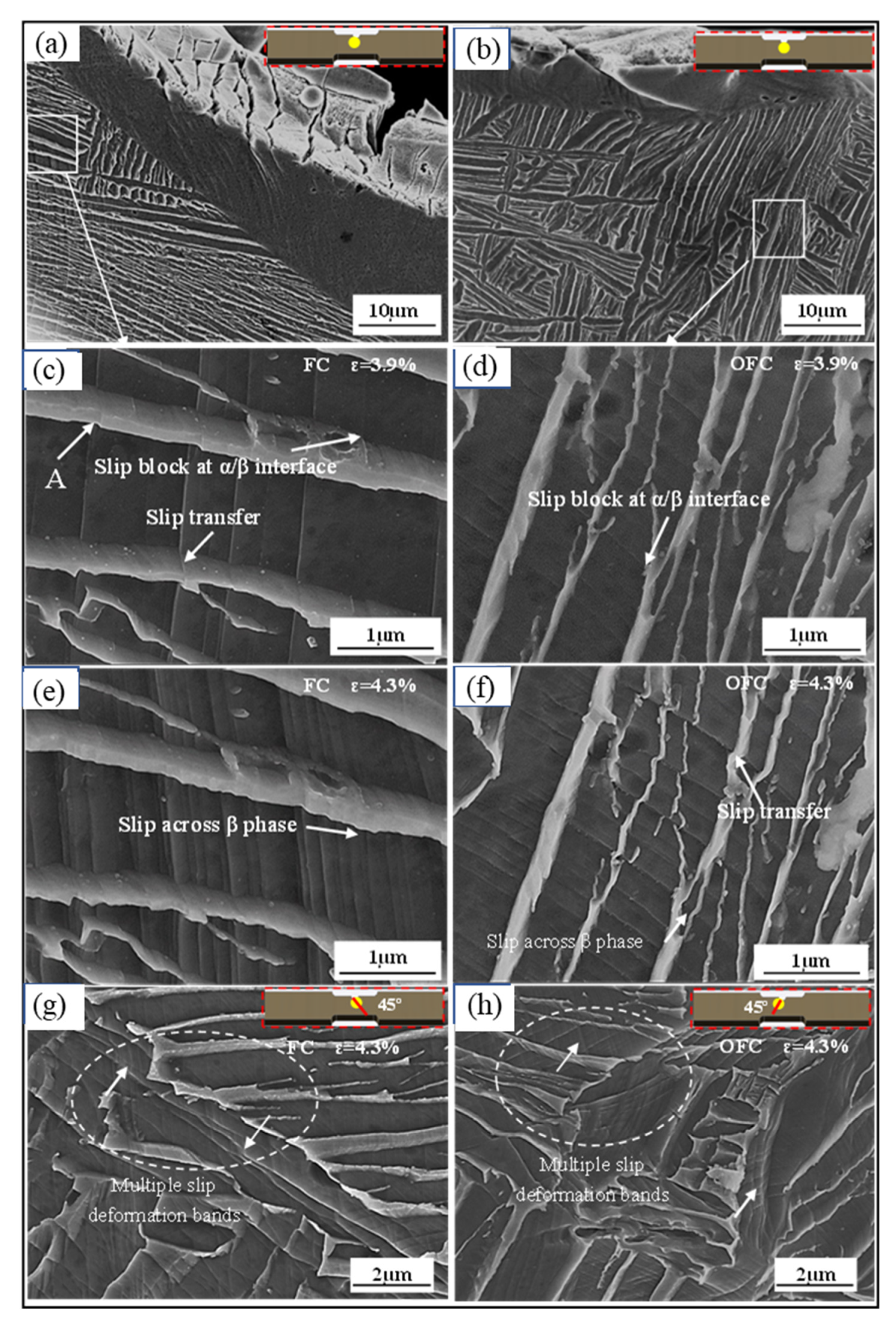 Materials 15 03869 g005