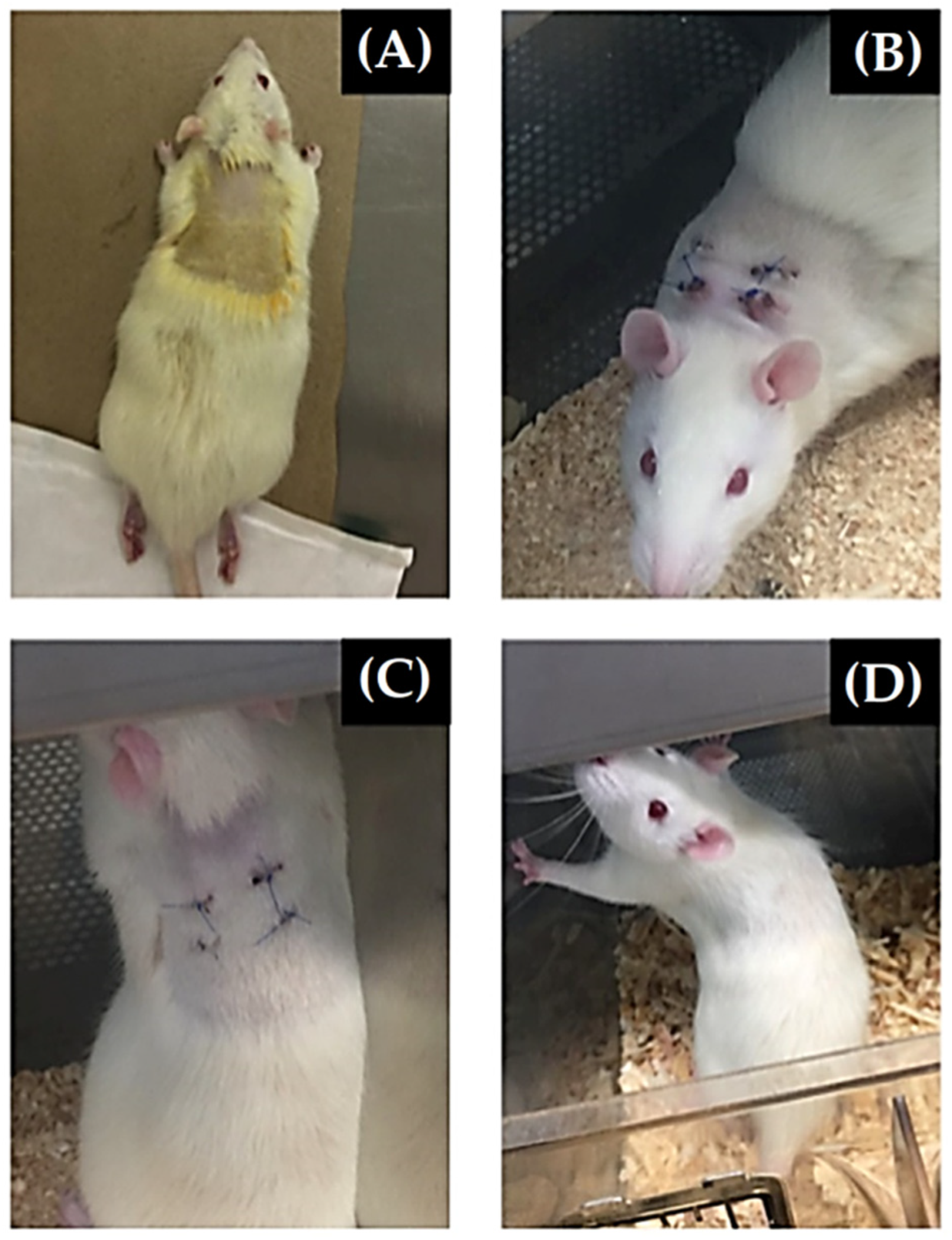 Materials 15 03909 g003