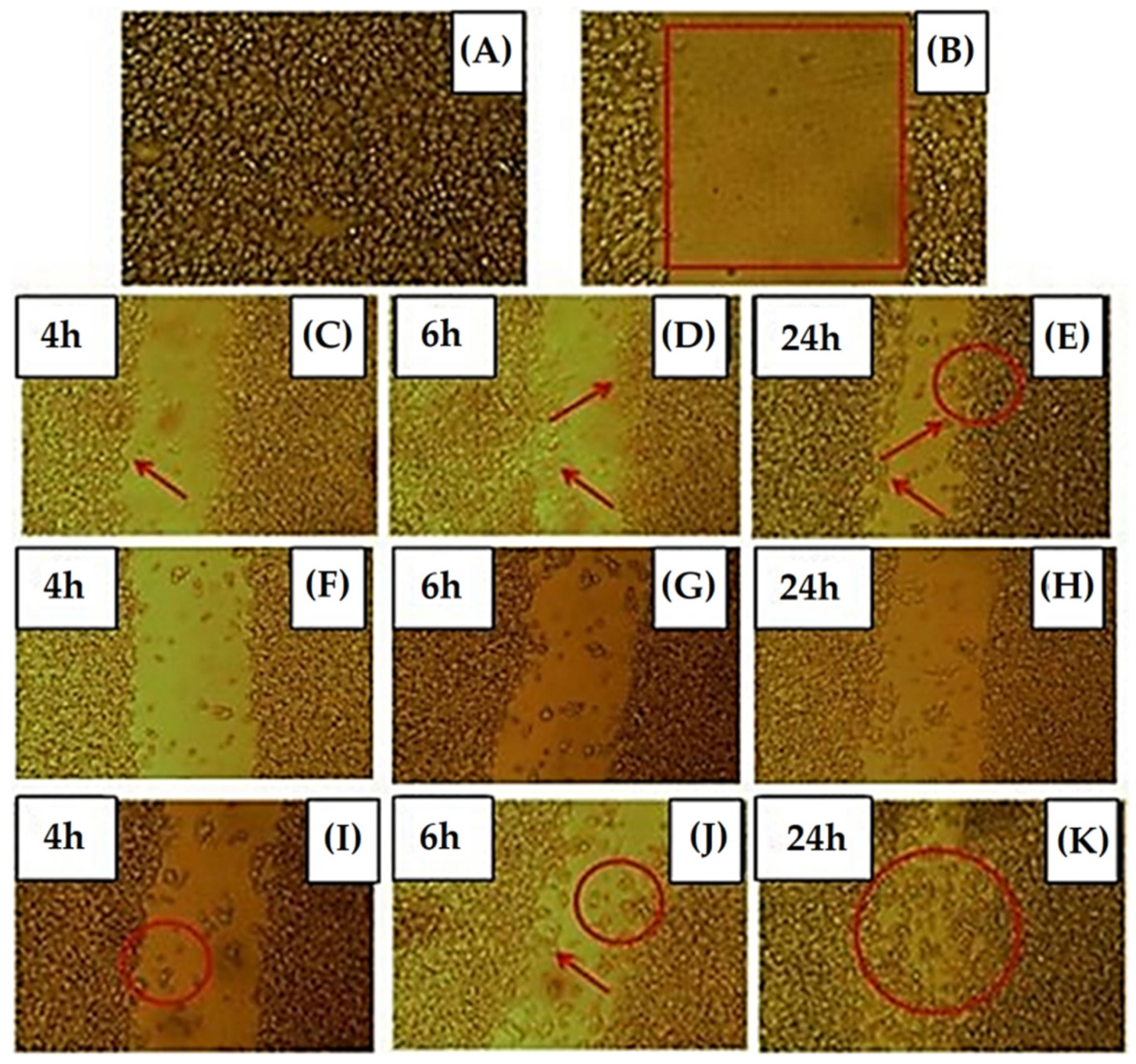 Materials 15 03909 g005