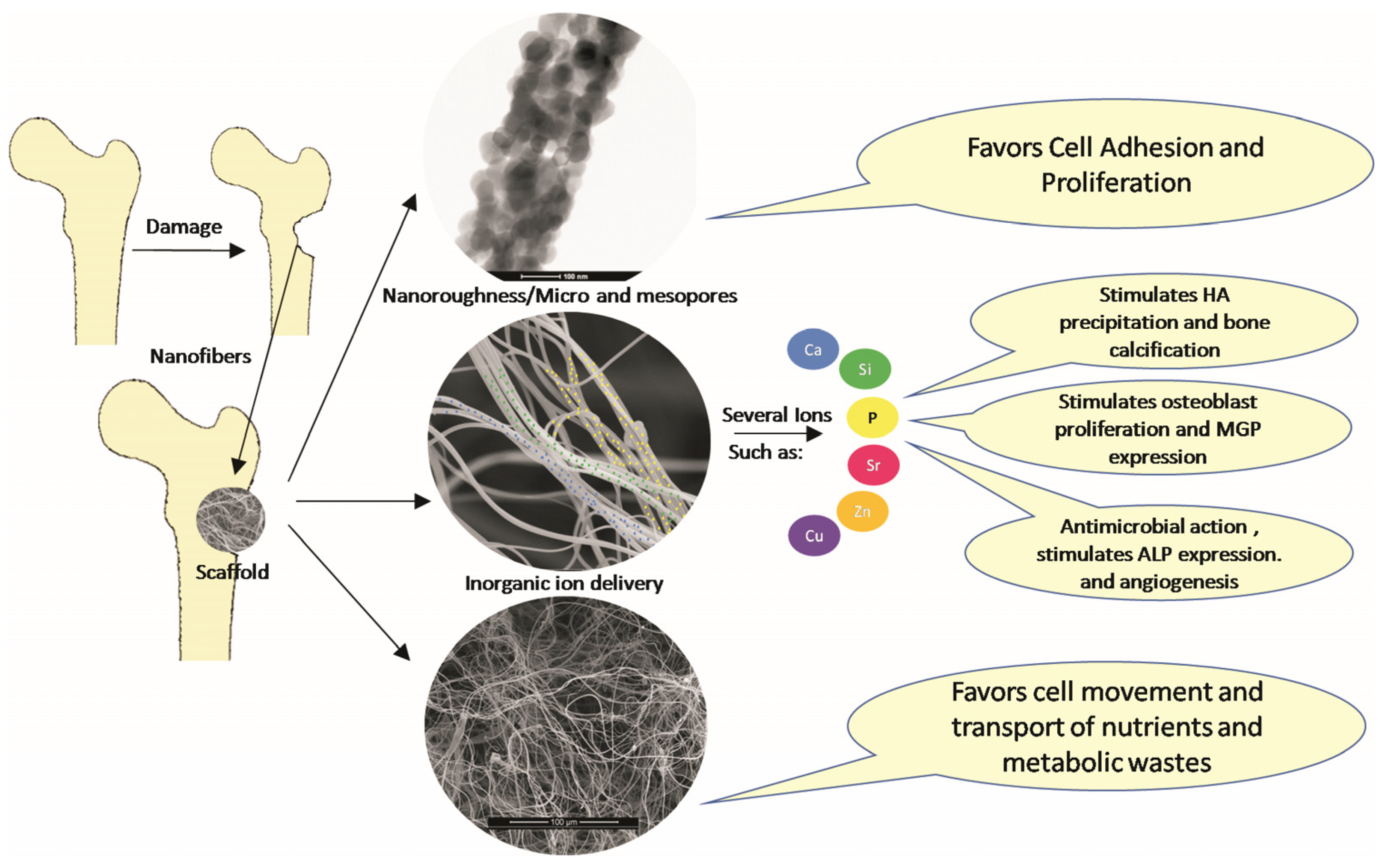 Materials 15 03909 g011