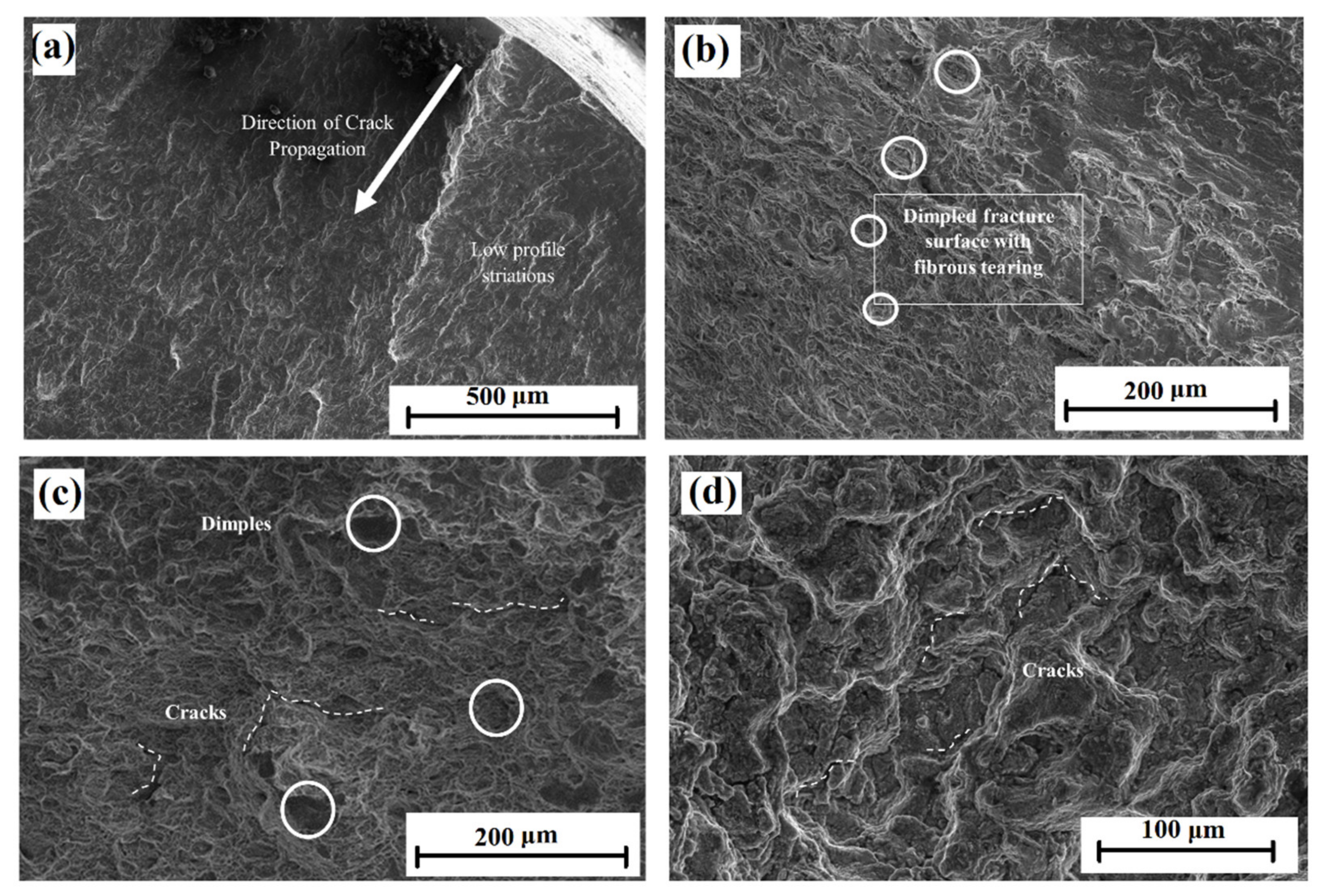 Materials 15 03984 g010