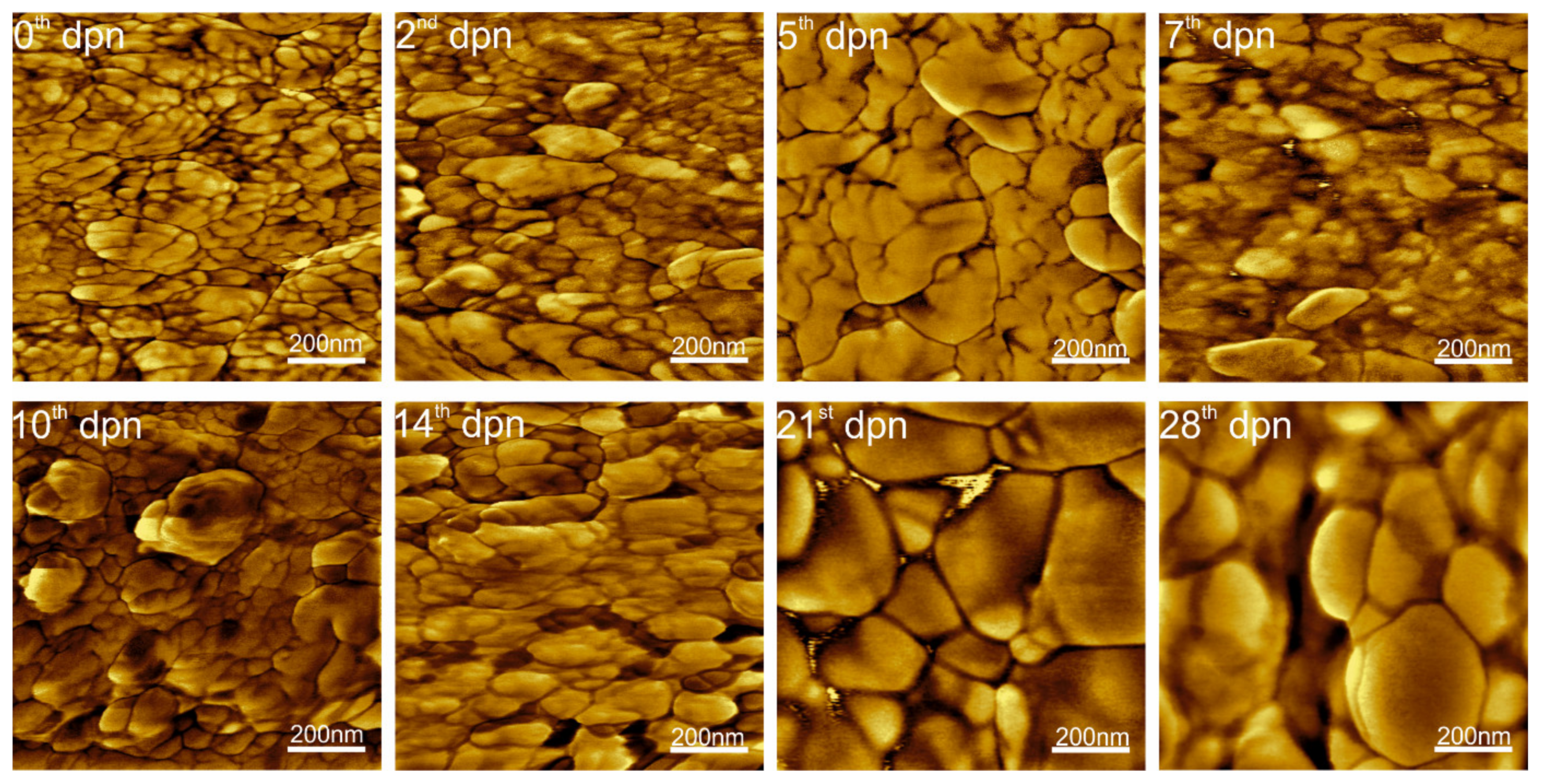 Materials 15 03993 g003