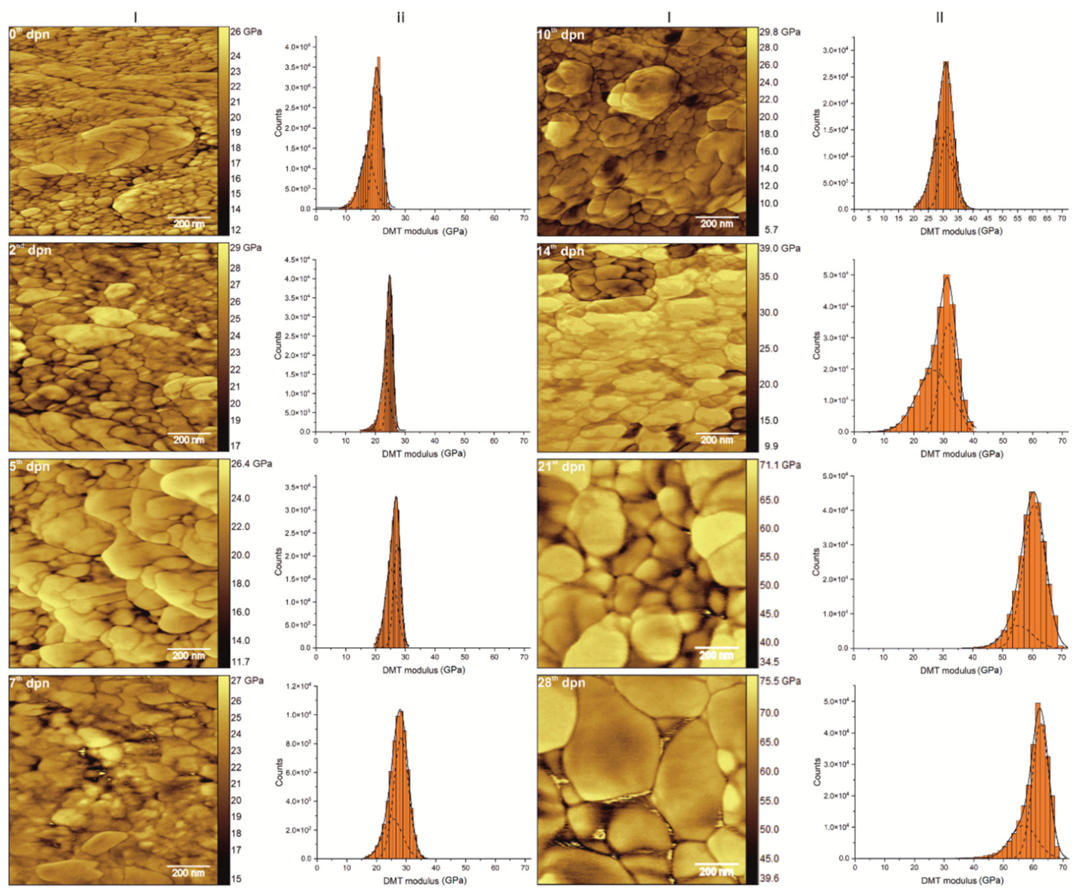 Materials 15 03993 g009