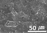 Materials 15 04054 i029