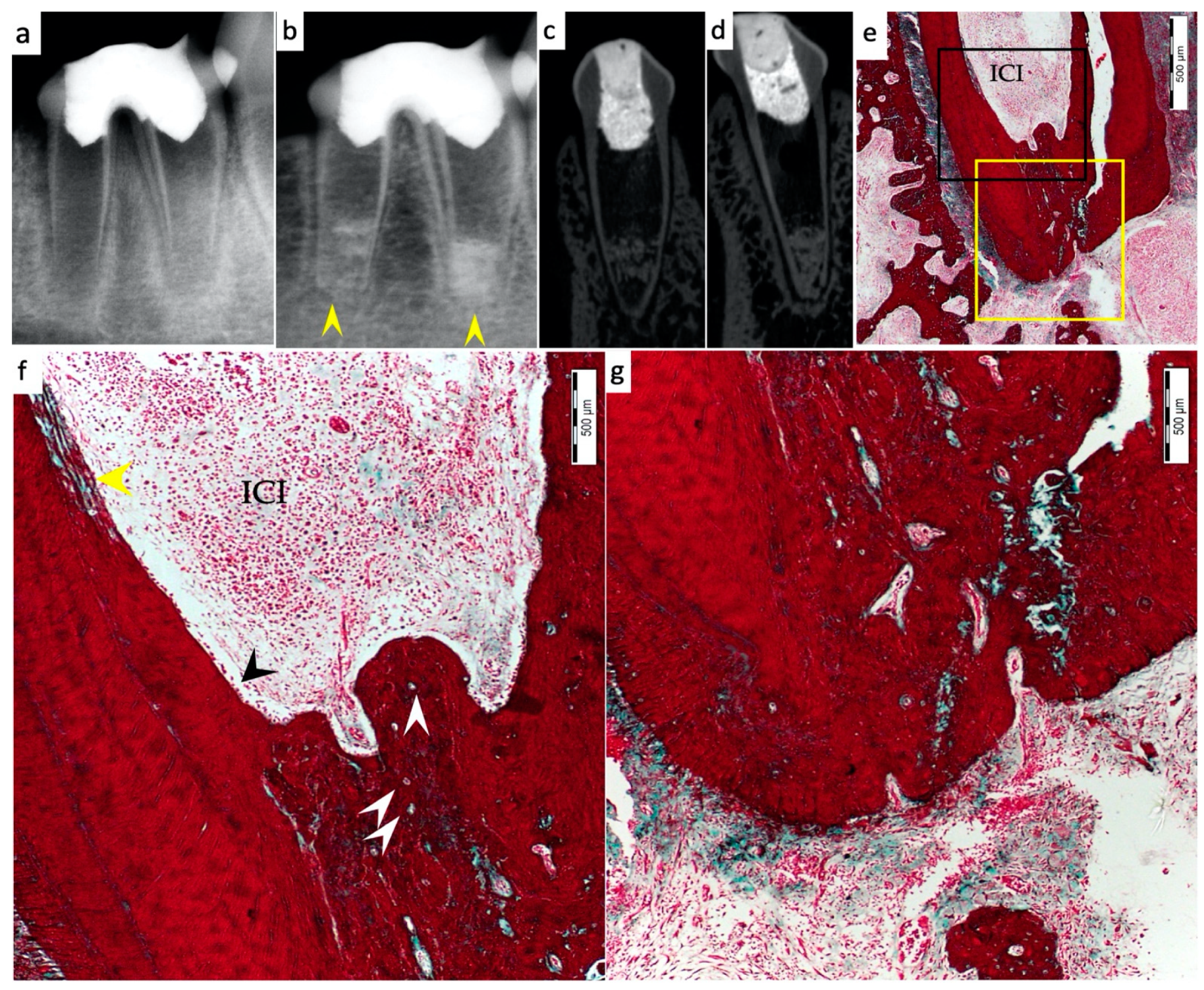Materials 15 04095 g002