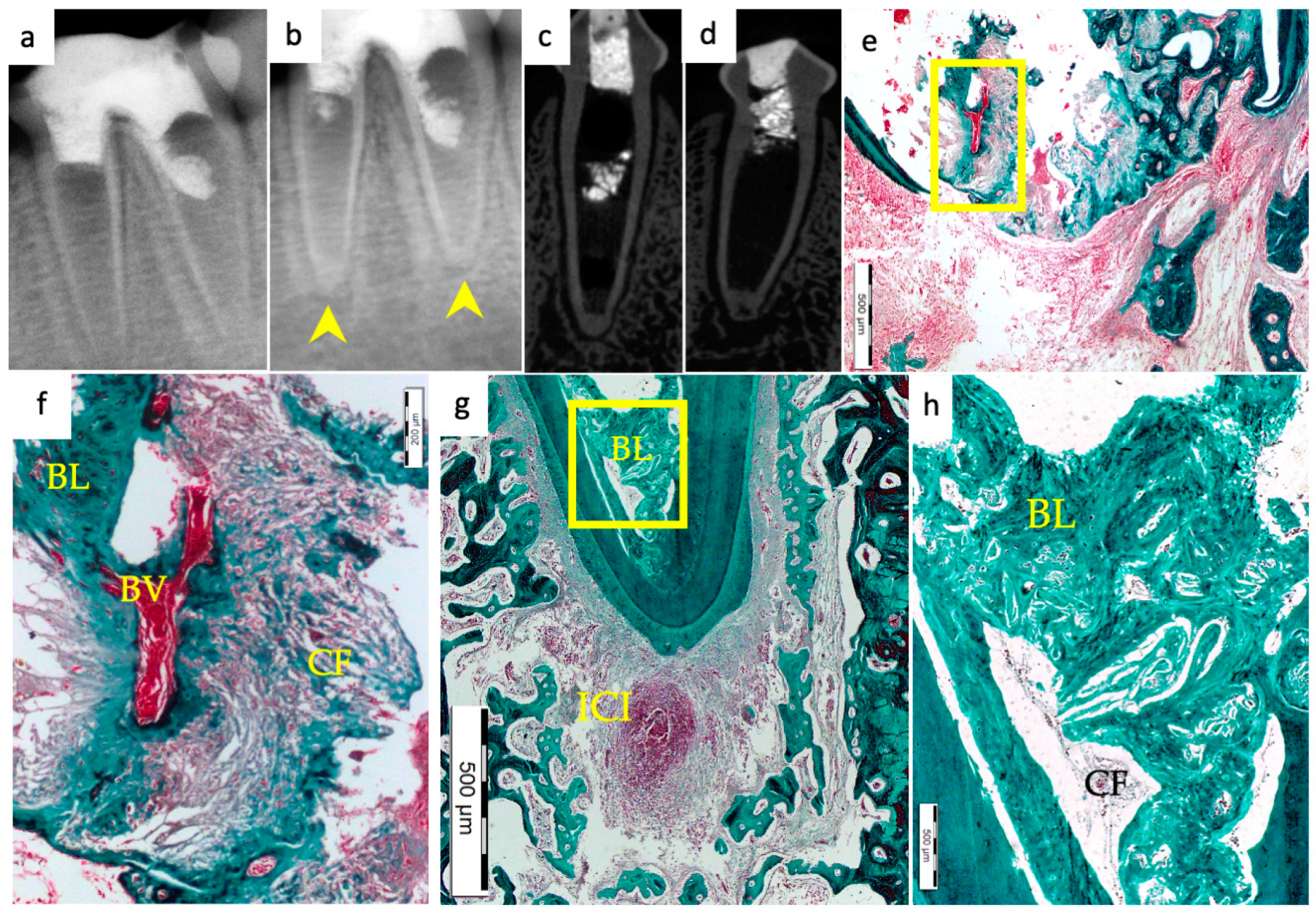 Materials 15 04095 g003
