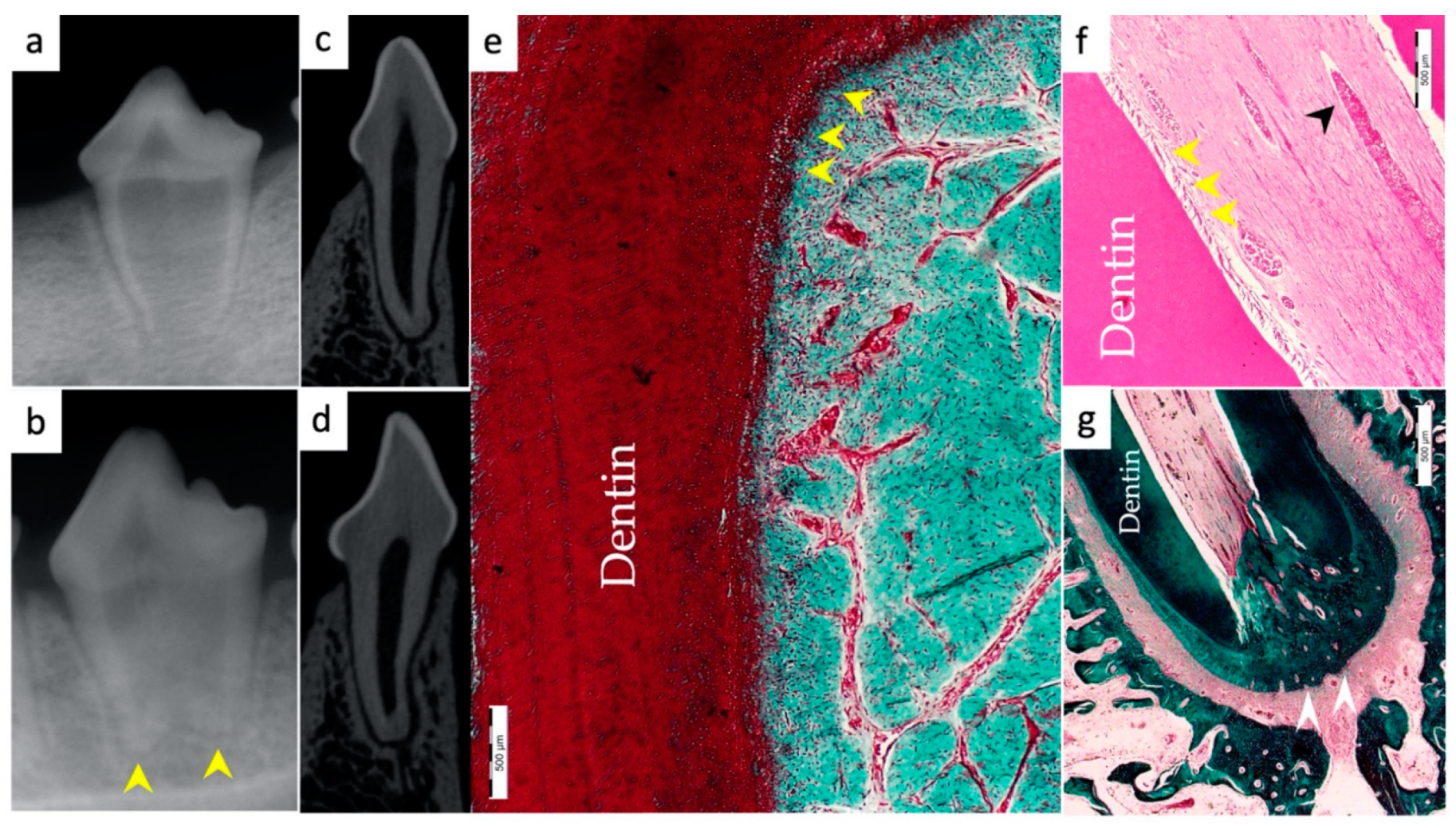 Materials 15 04095 g006