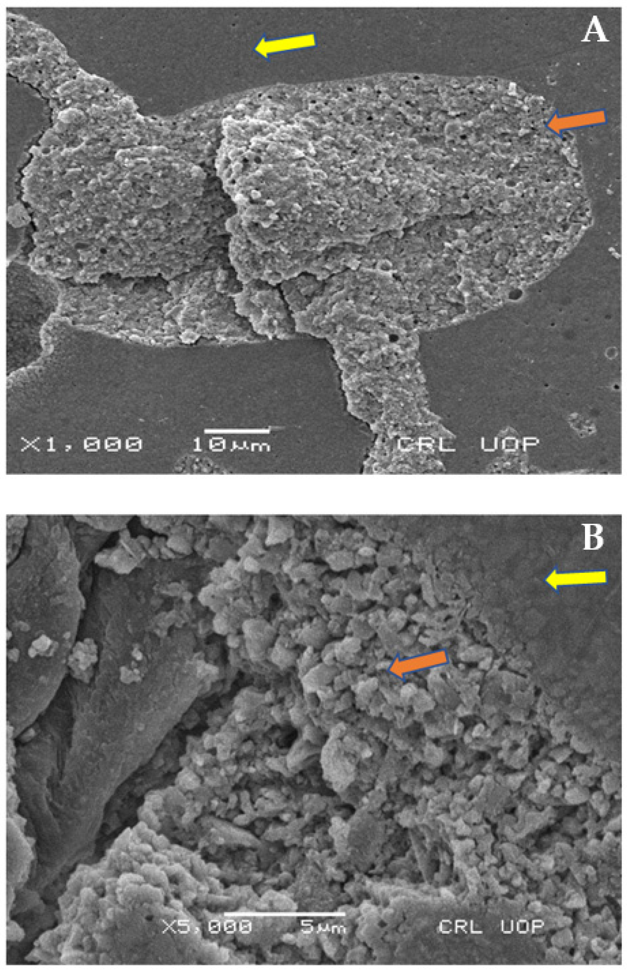 Materials 15 04293 g007