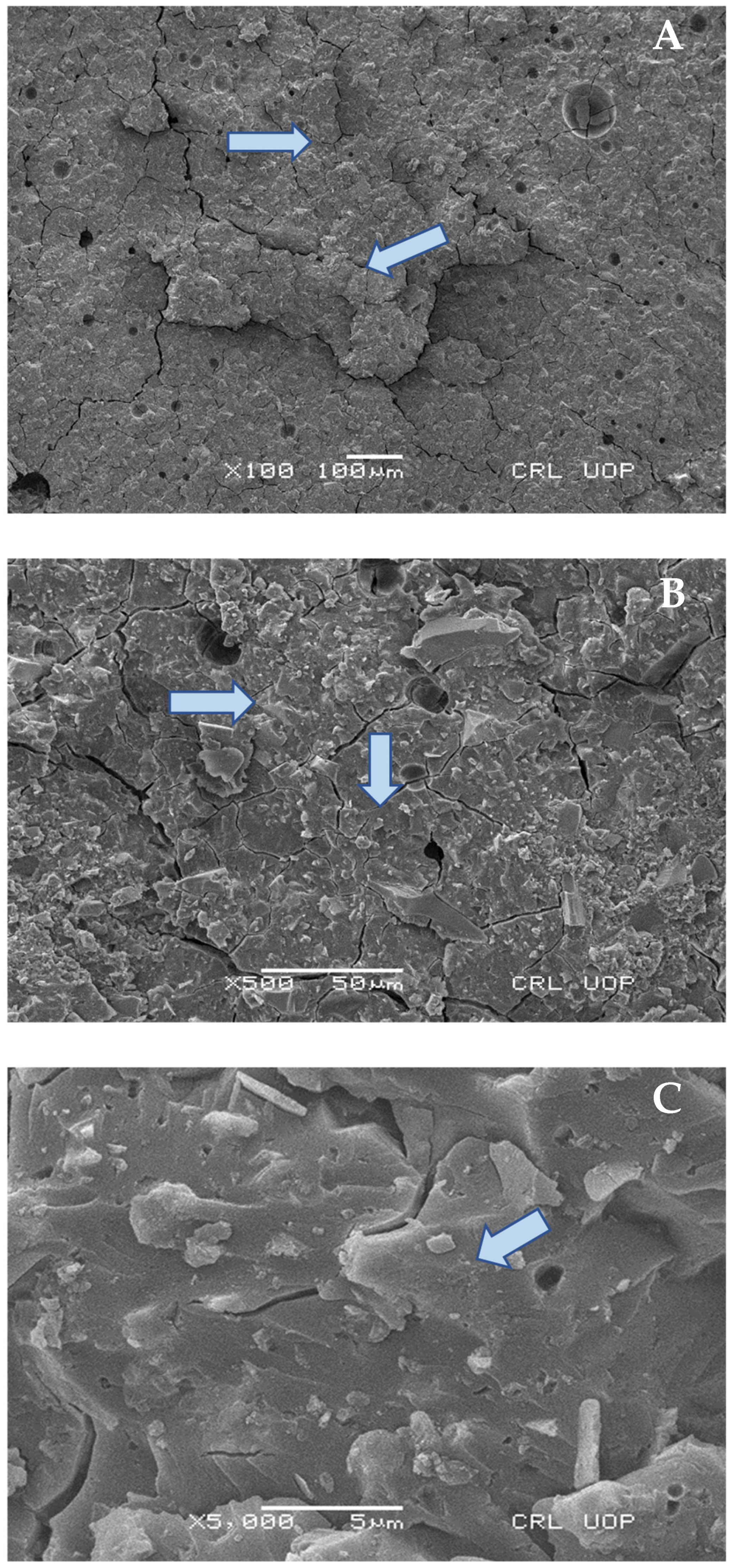 Materials 15 04293 g008