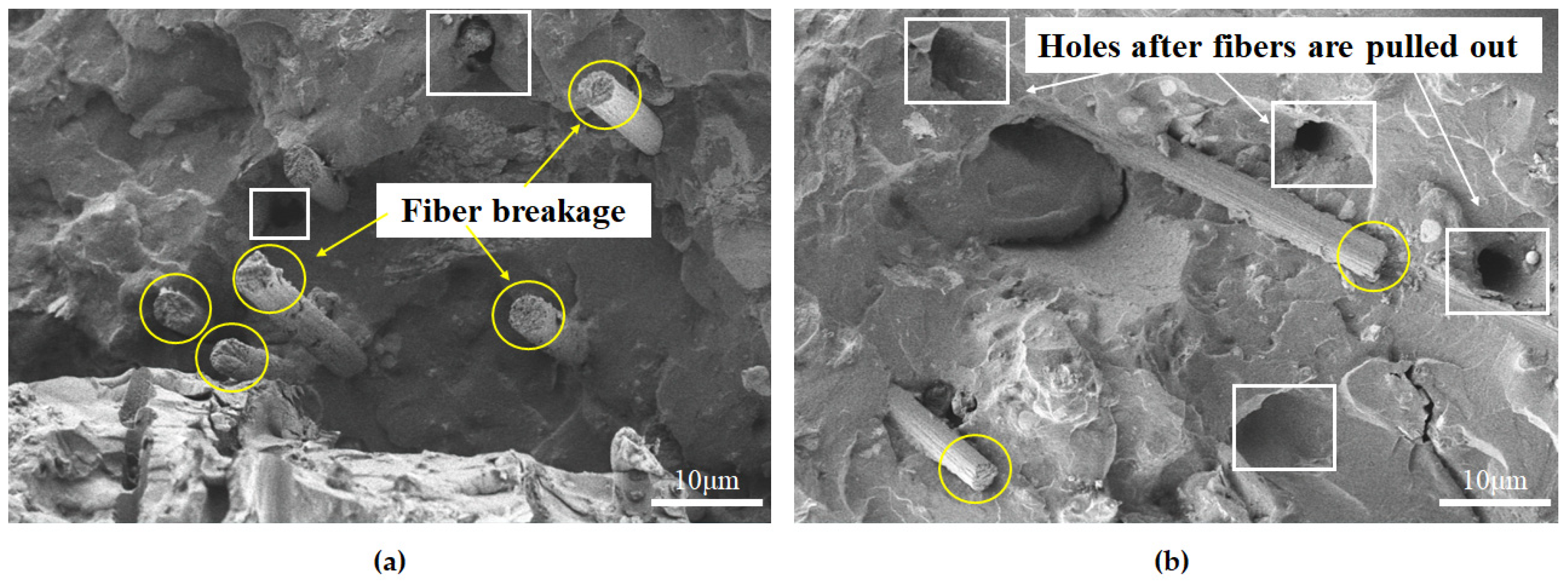 Materials 15 04318 g007