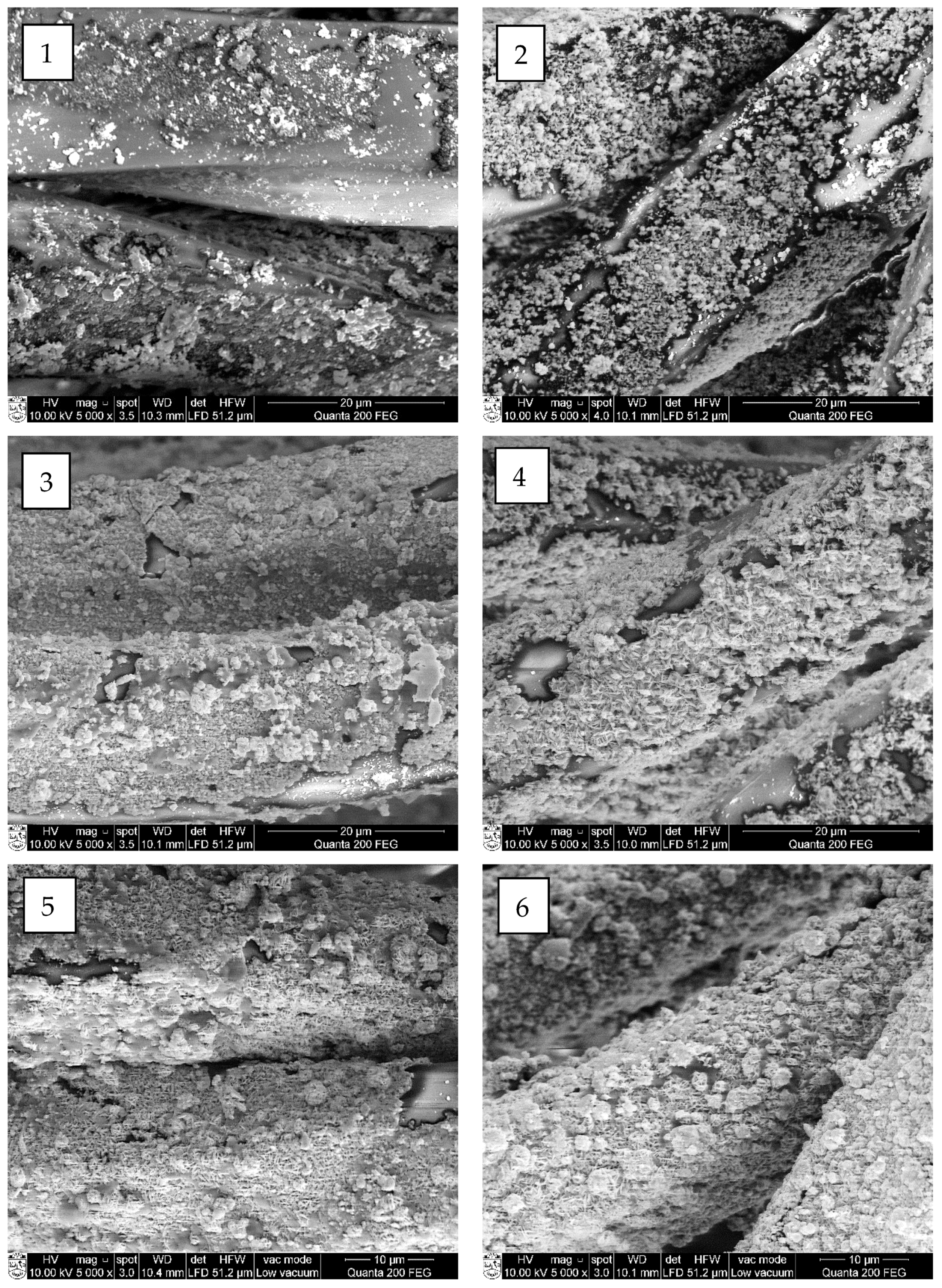 Materials 15 04320 g009