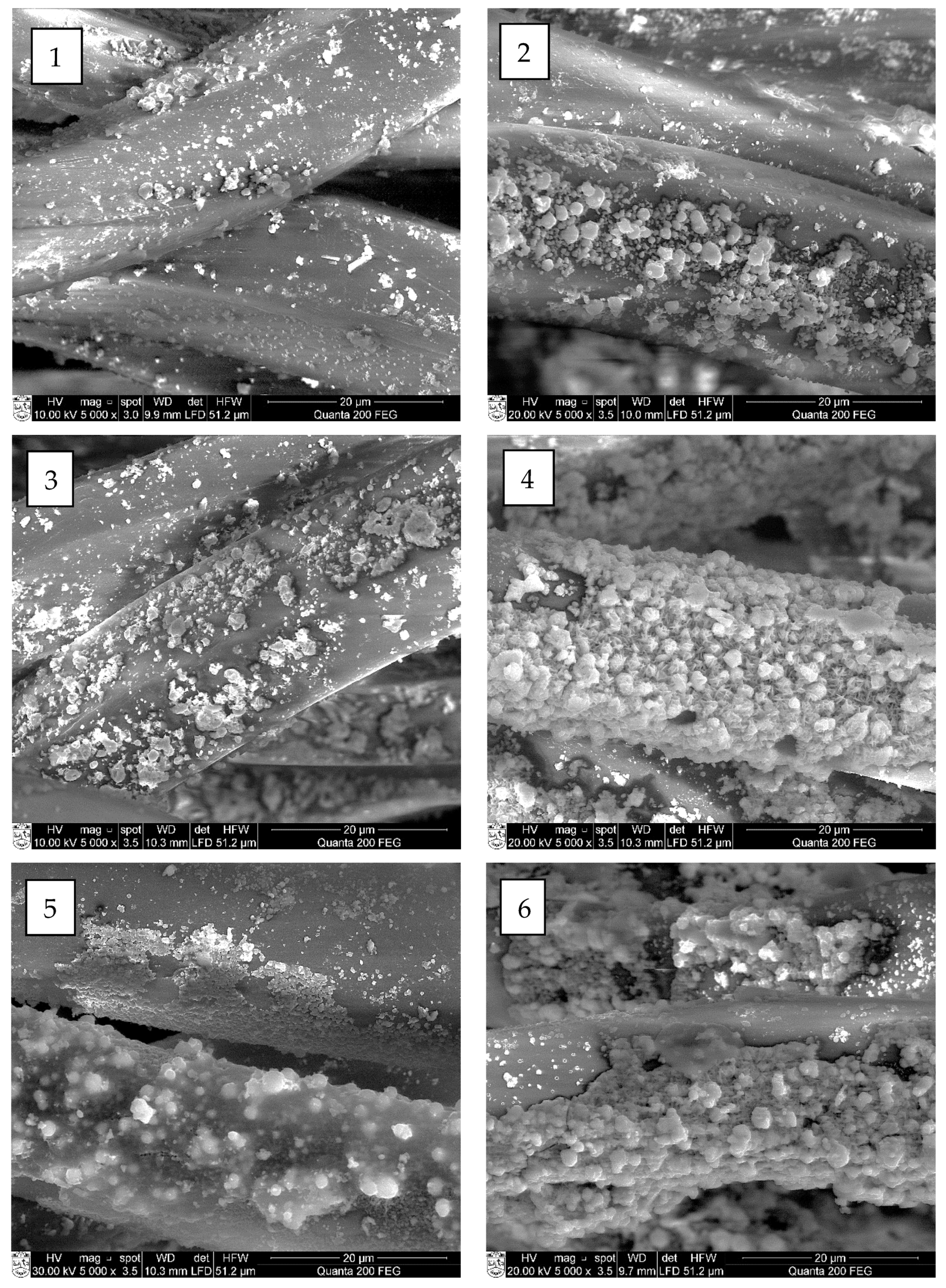 Materials 15 04320 g010