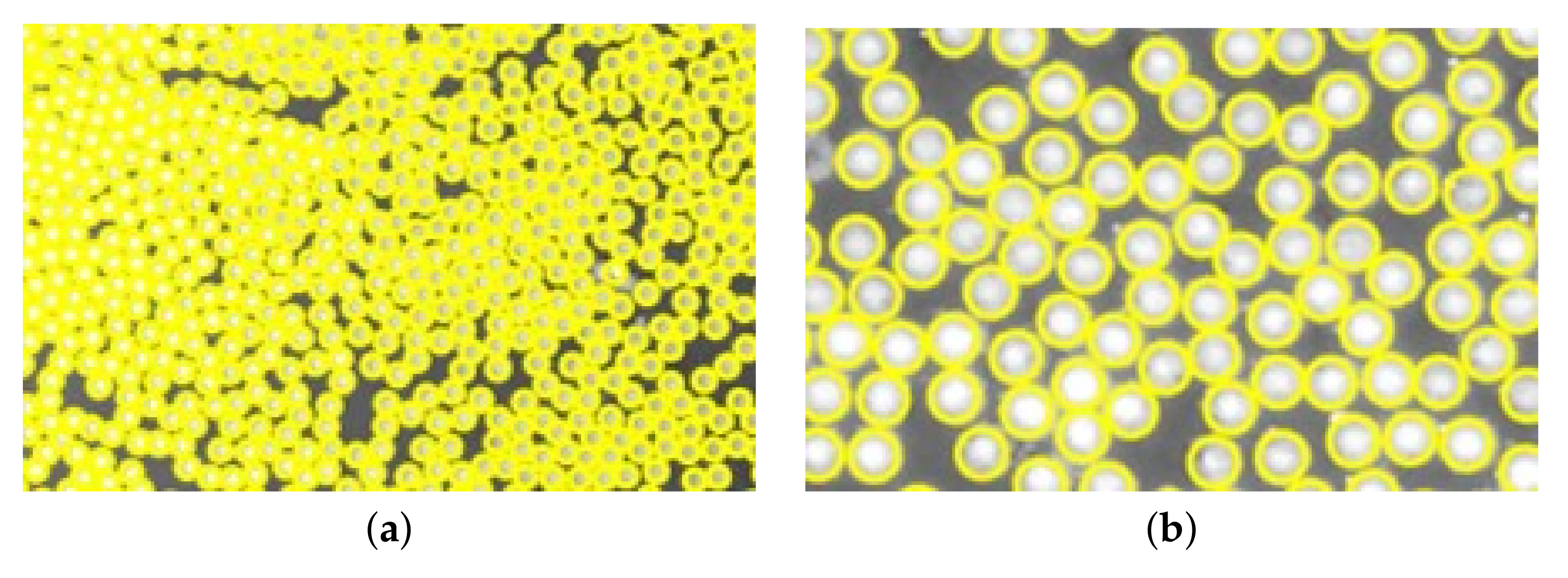 Materials 15 04361 g010