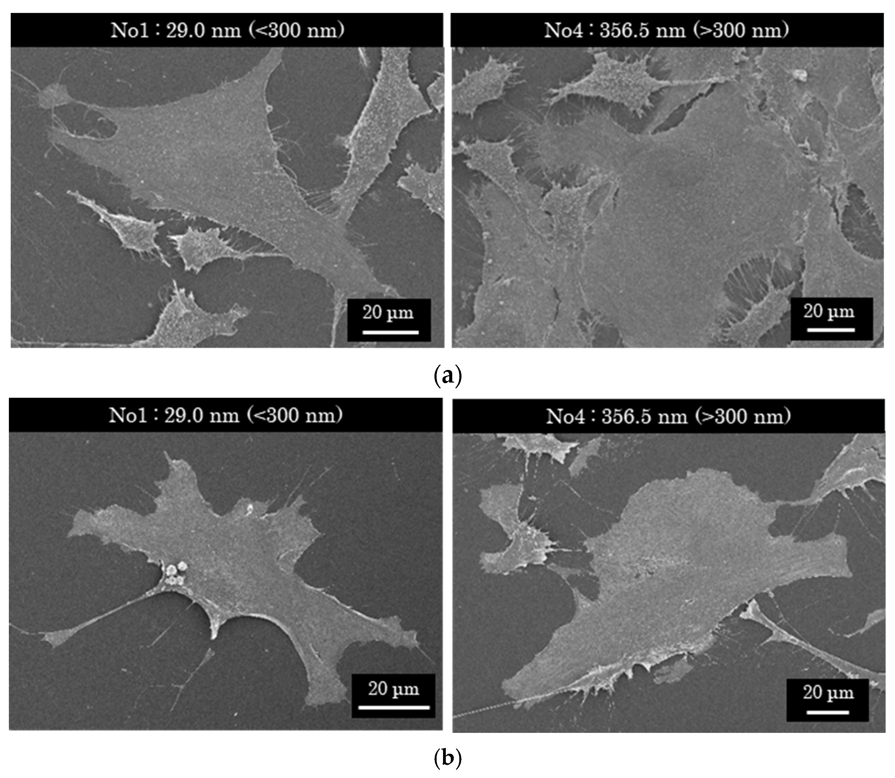 Materials 15 04466 g005