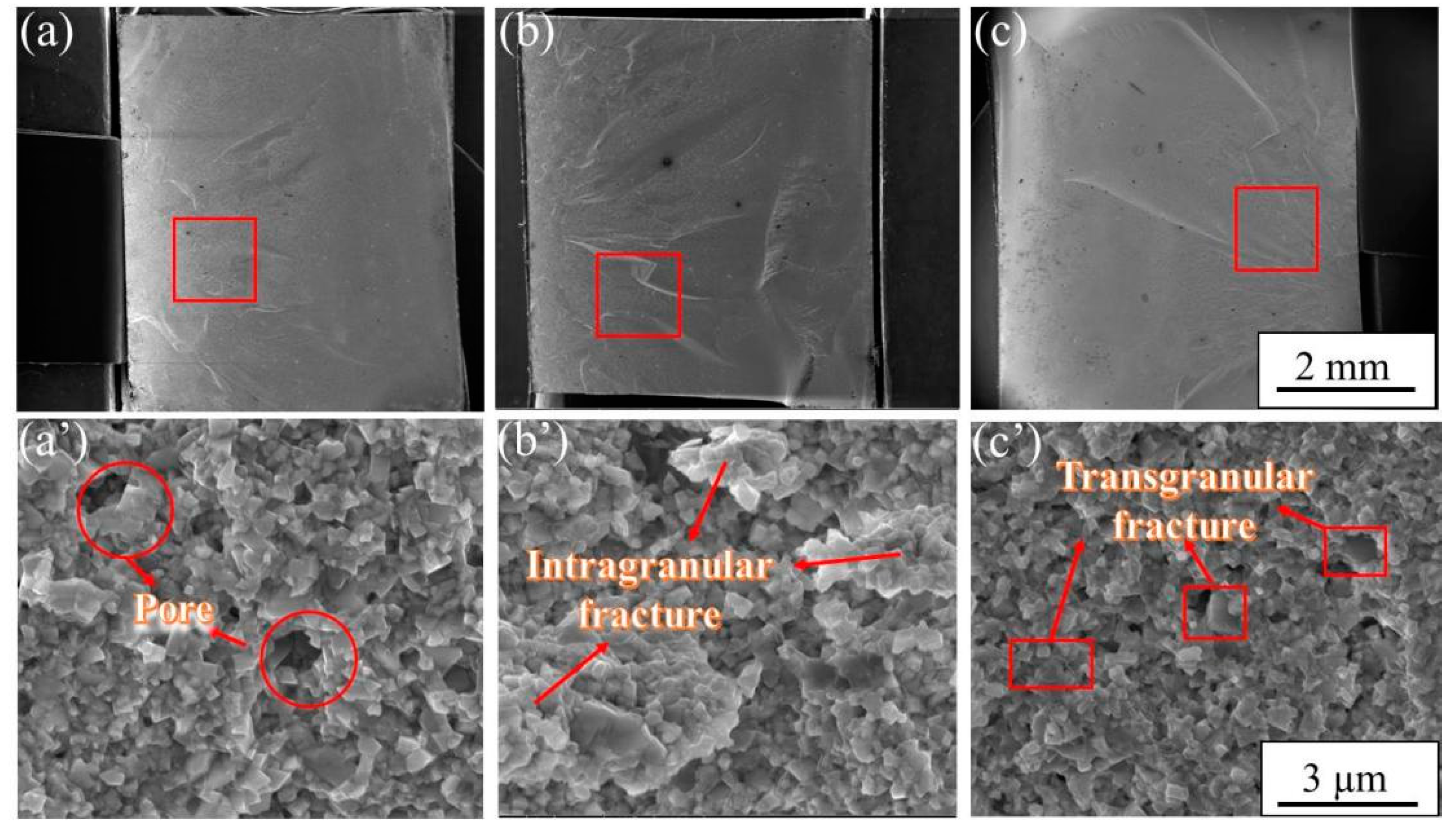 Materials 15 04472 g008