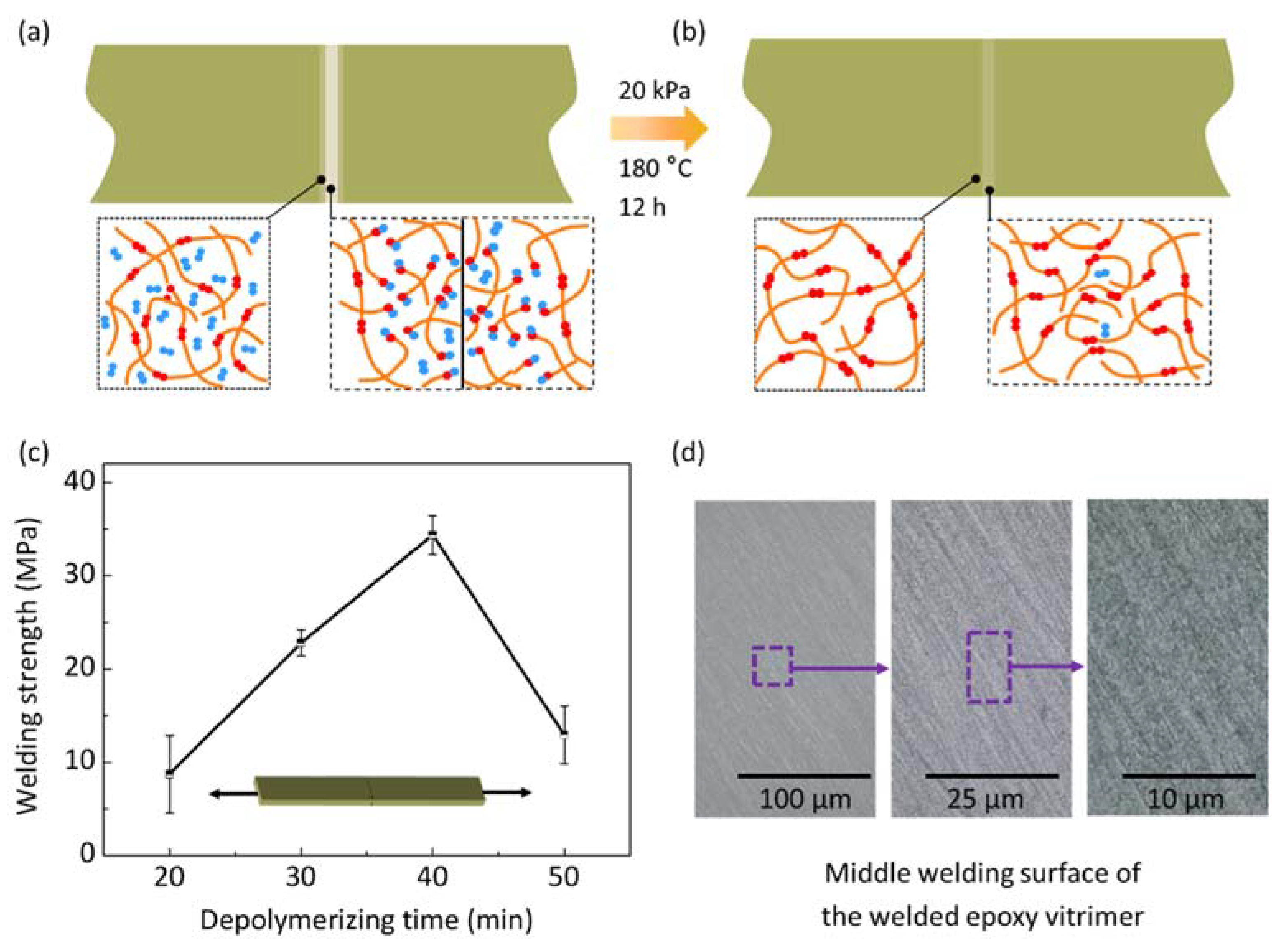 Materials 15 04488 g005