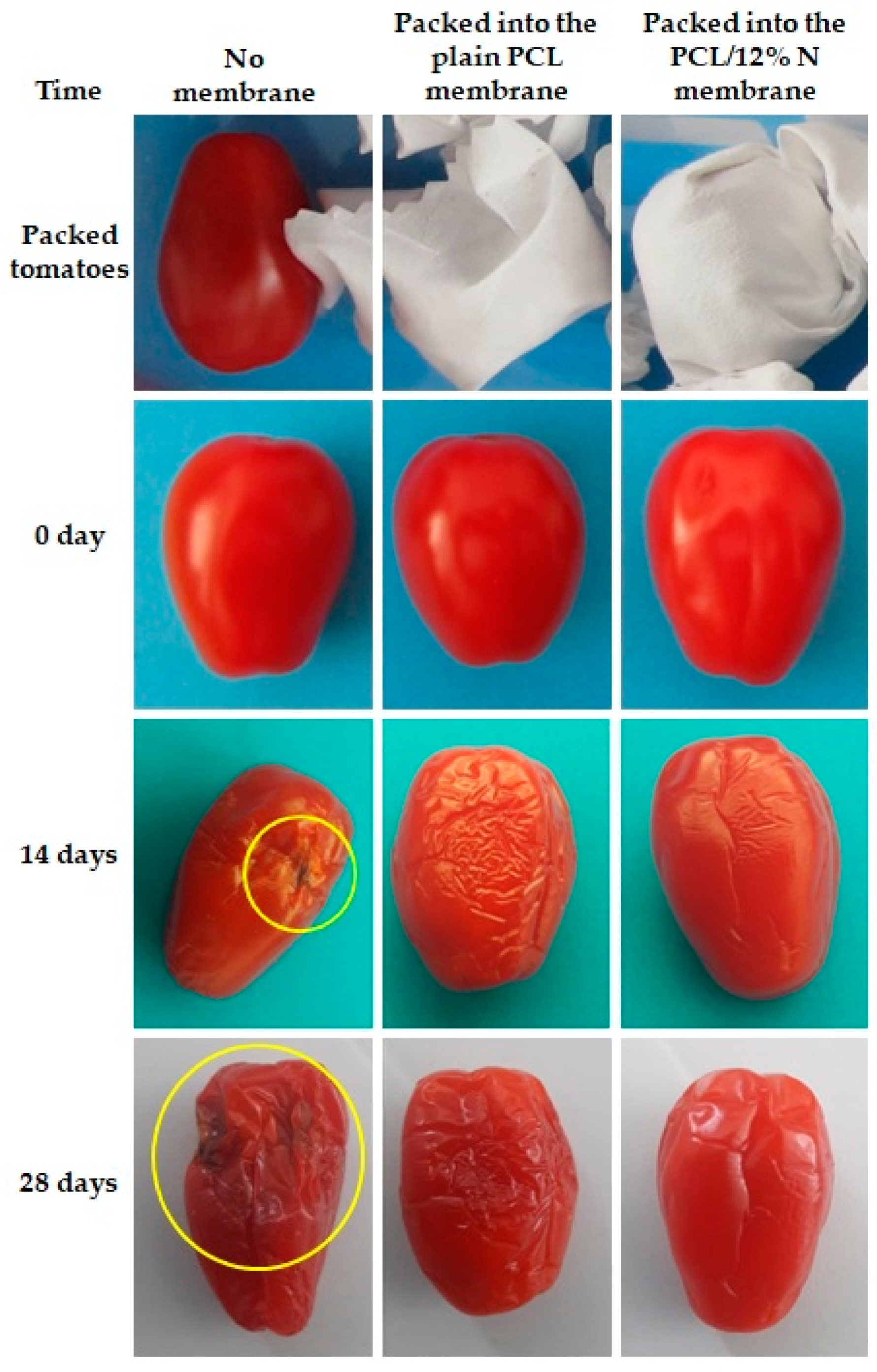 Materials 15 04540 g008