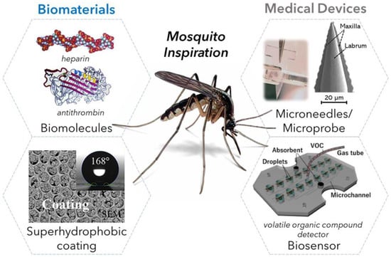 Materials | Free Full-Text | Biting Innovations of Mosquito-Based  Biomaterials and Medical Devices