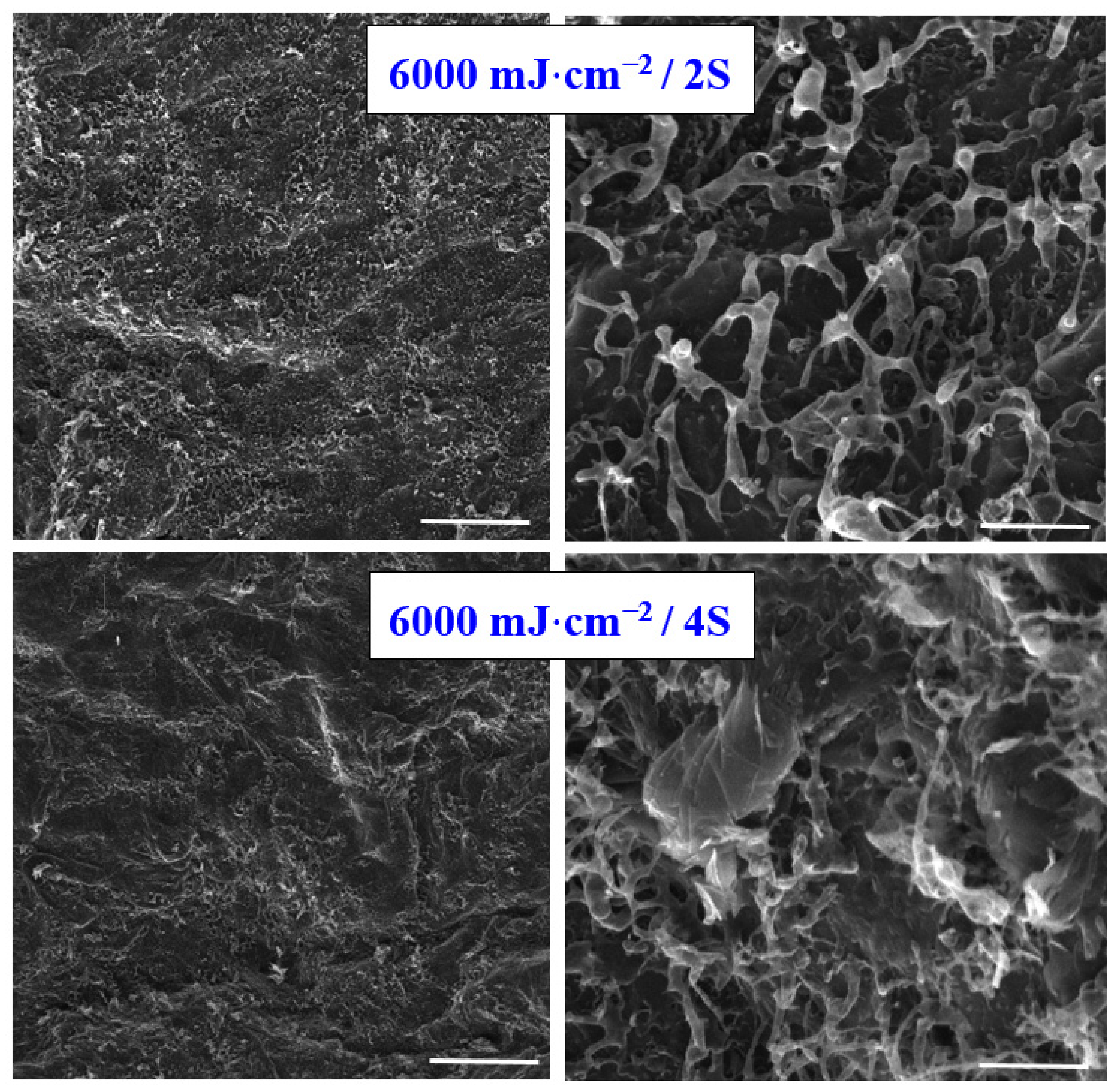 Materials 15 04614 g005