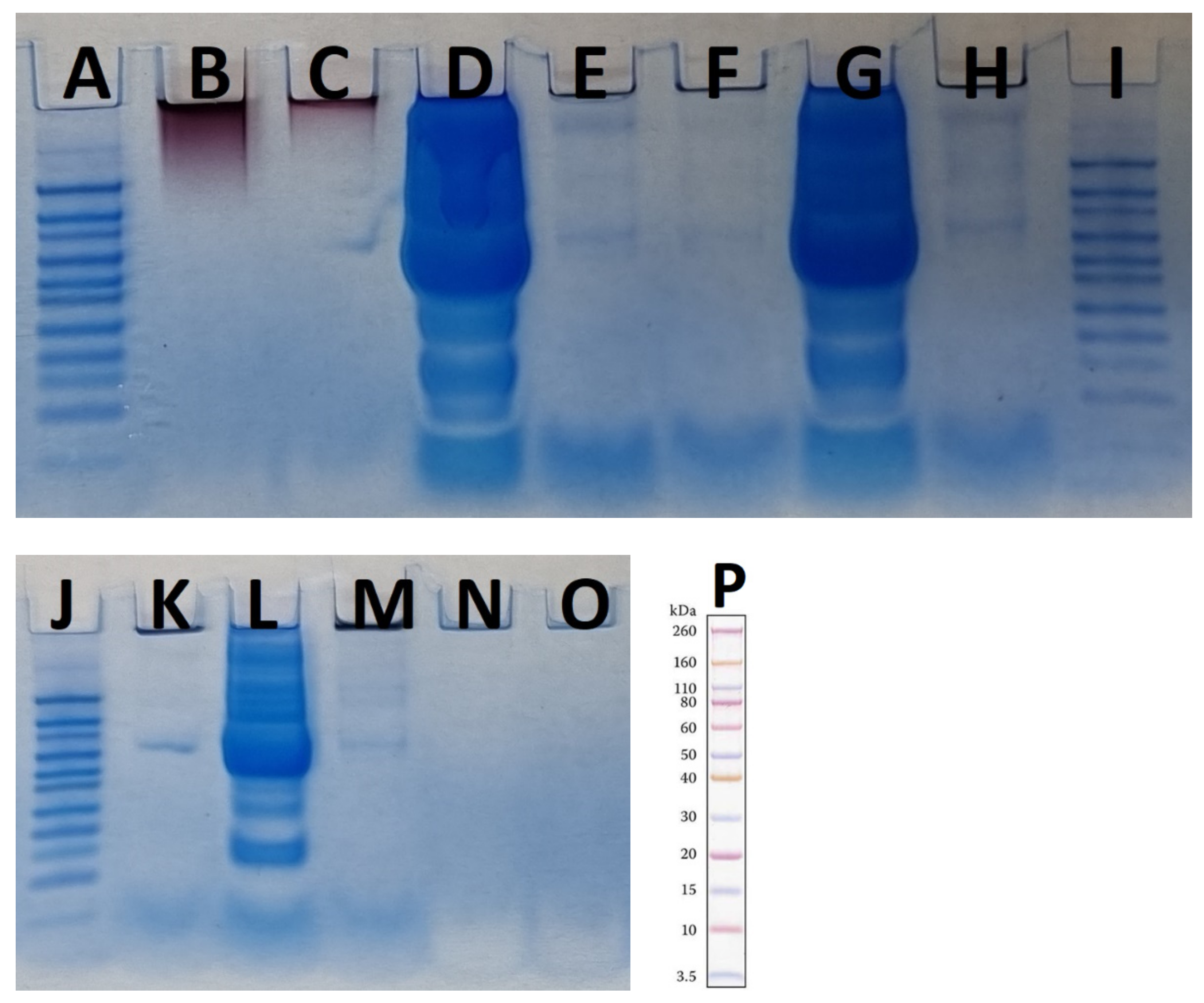 Materials 15 04615 g008