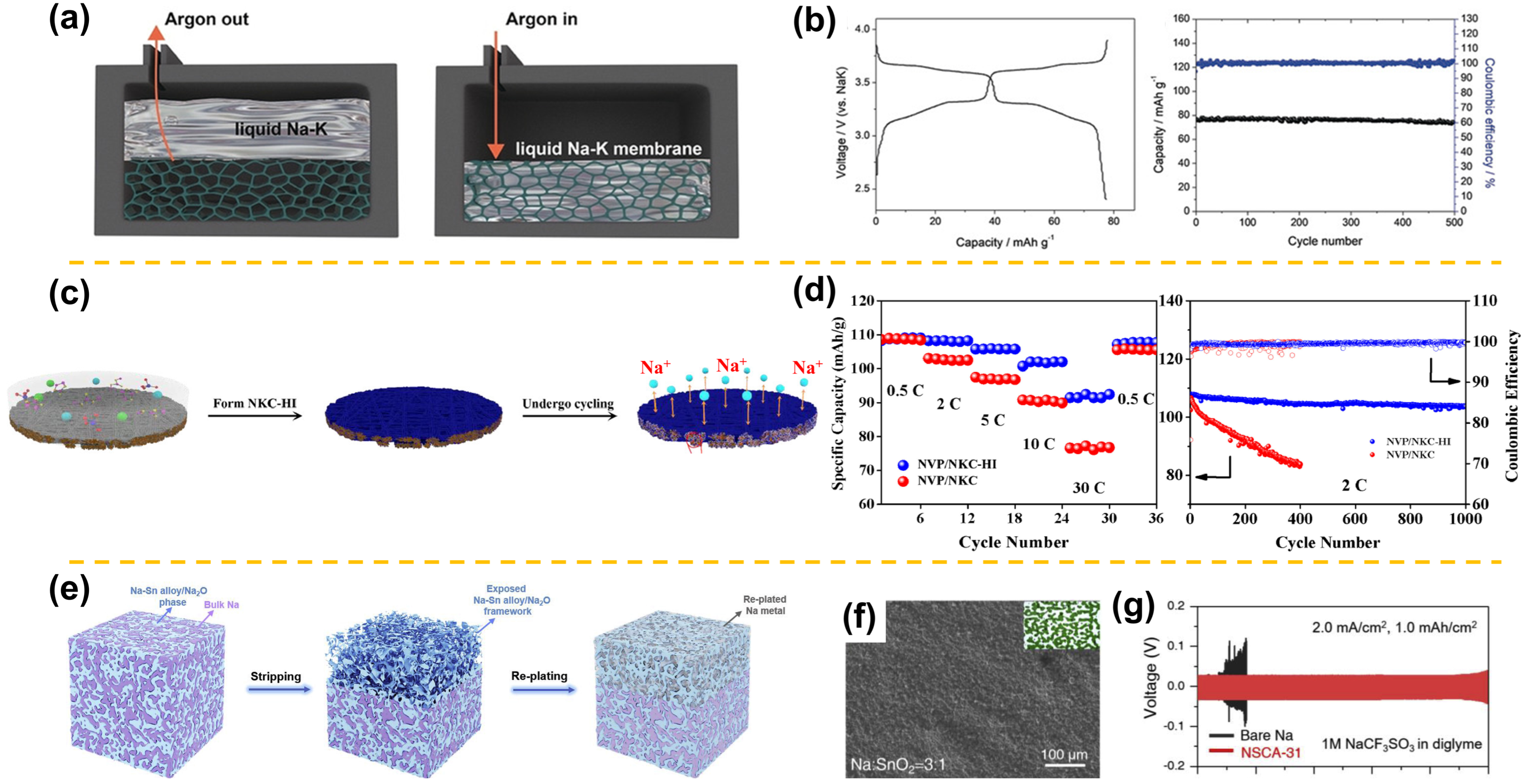 Materials 15 04636 g008