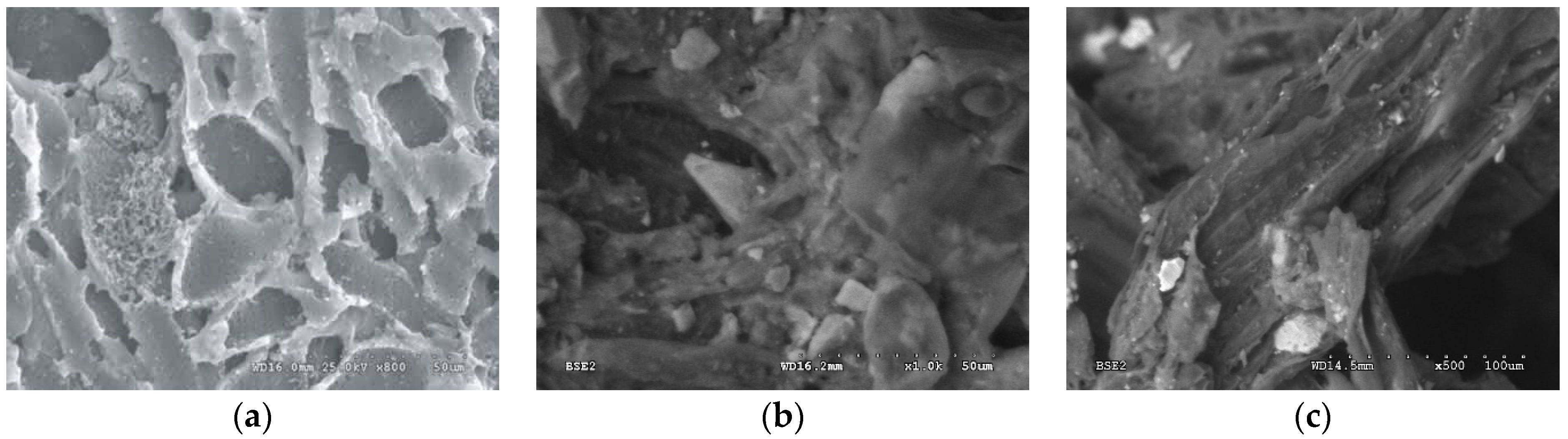 Materials 15 04680 g001