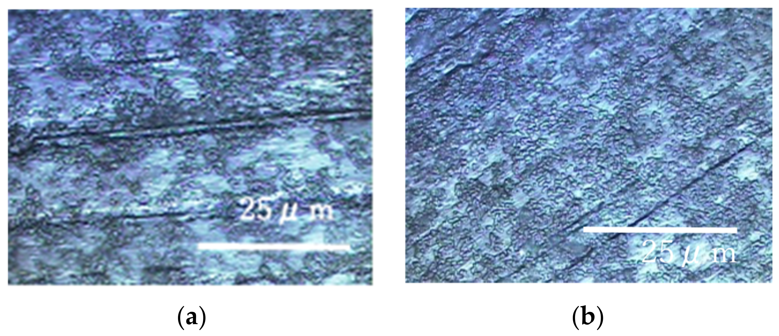 Materials 15 04691 g008