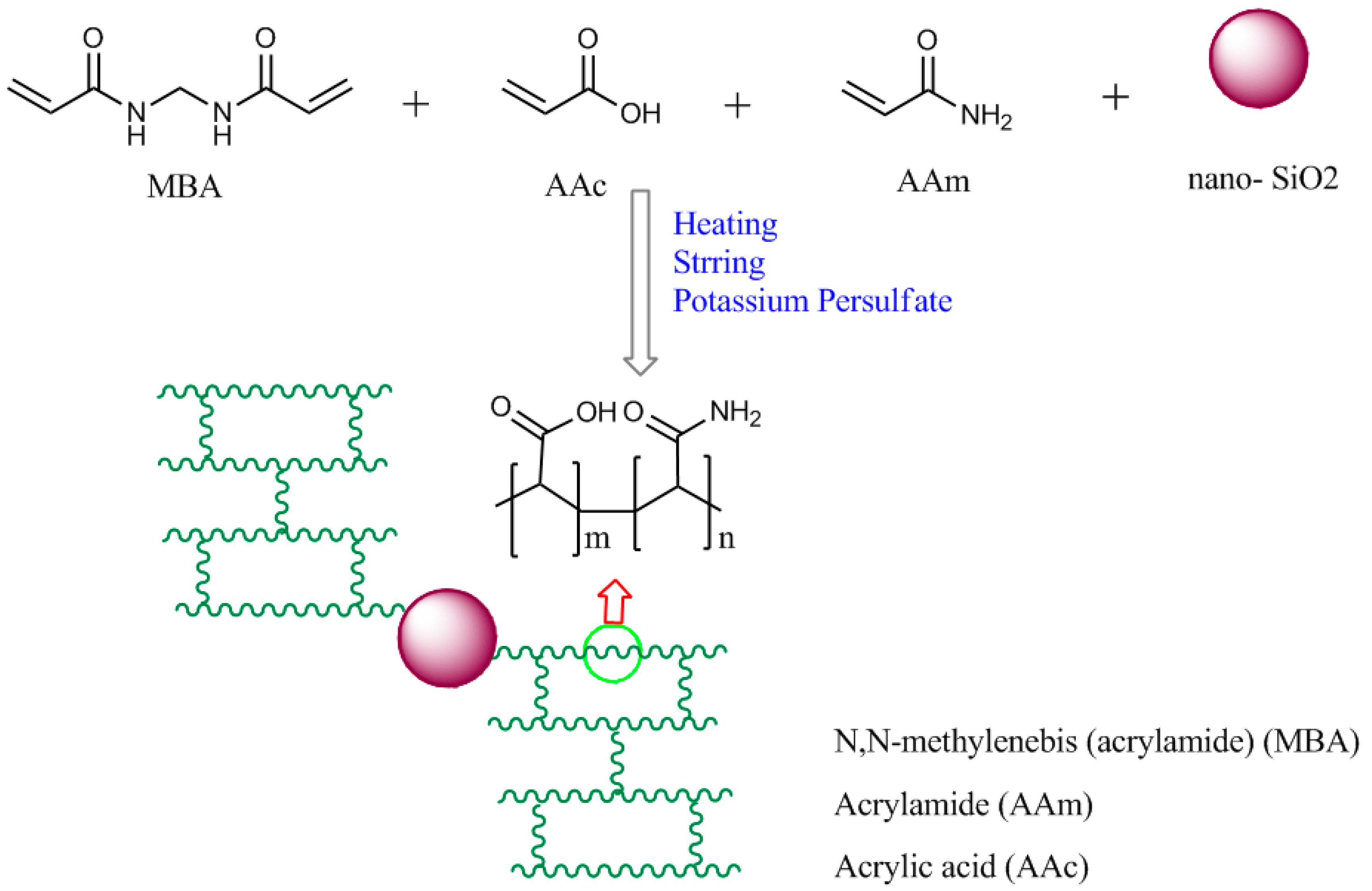 Synthesis and Characterization of Novel pH-Responsive Microgels