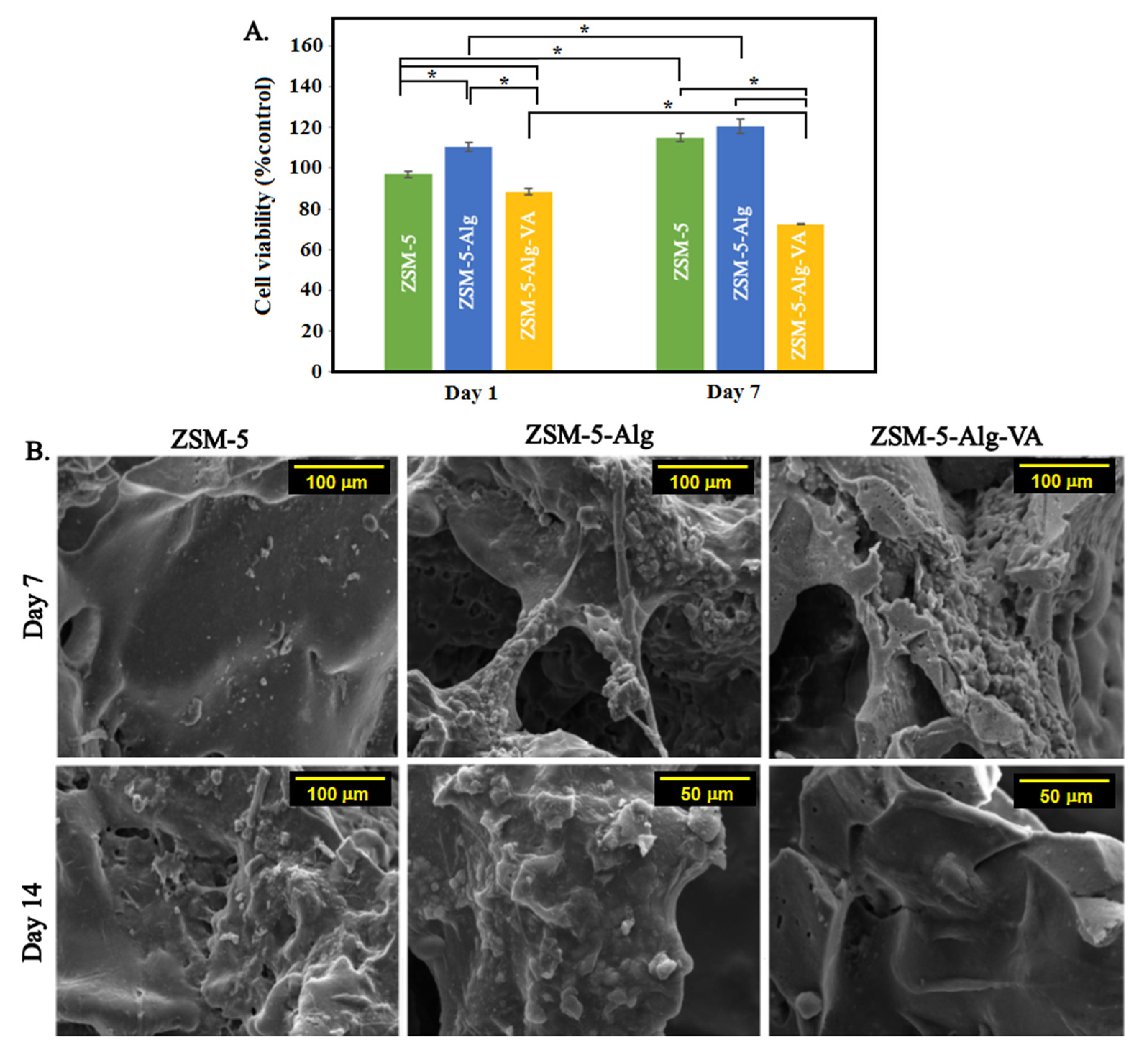 Materials 15 04786 g007