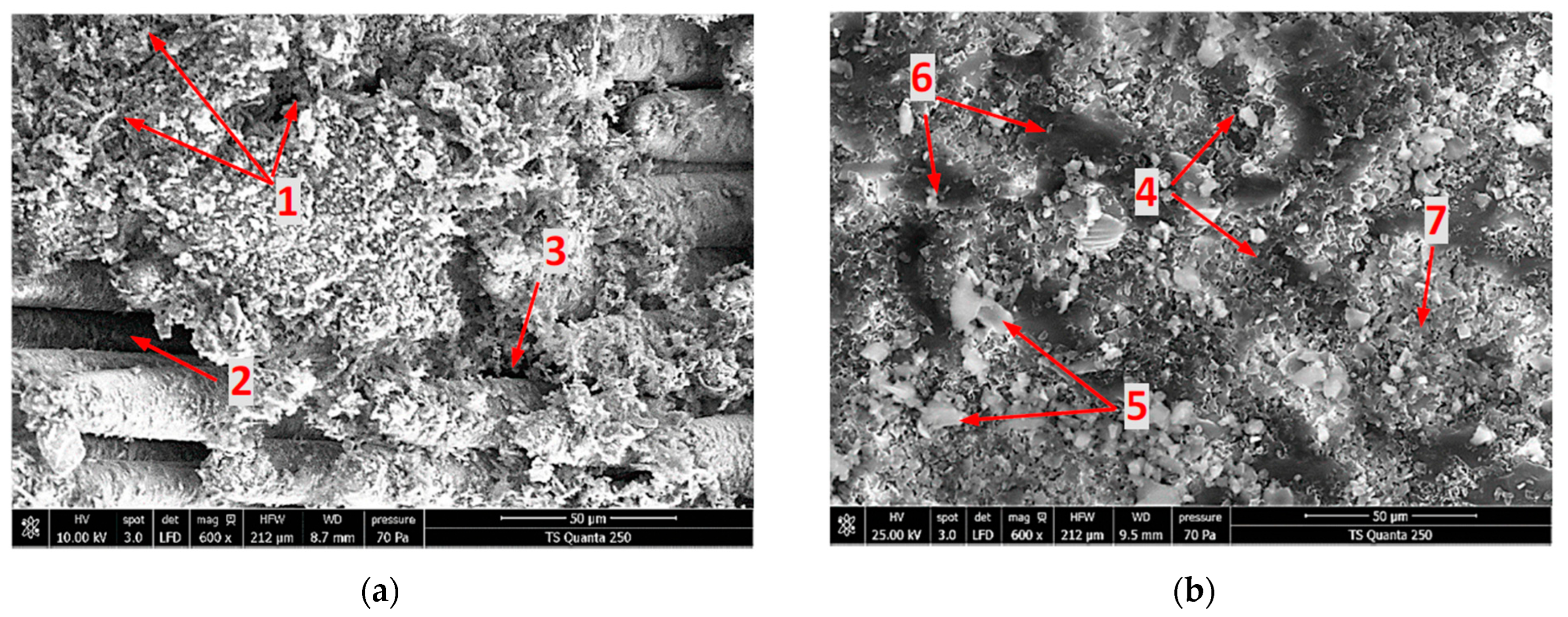 Materials 15 04792 g010