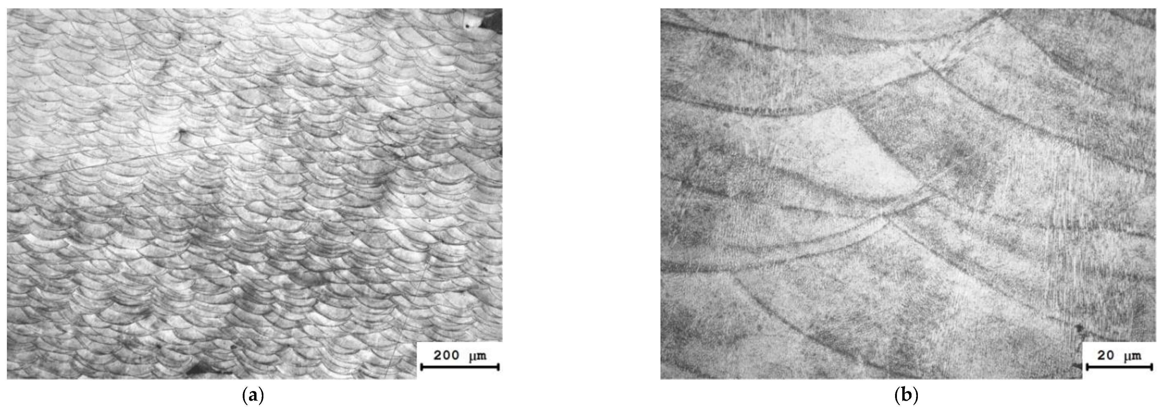 Materials 15 04806 g008