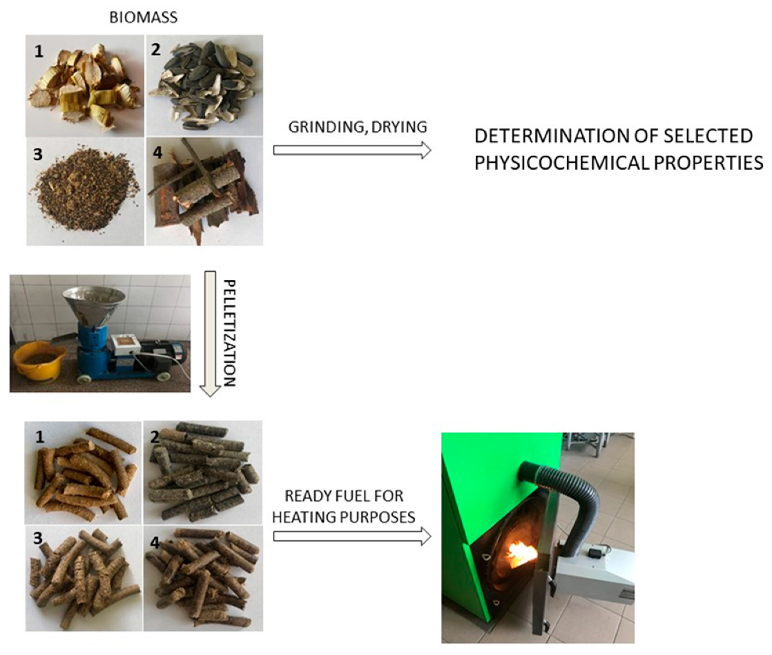 types of biomass fuel