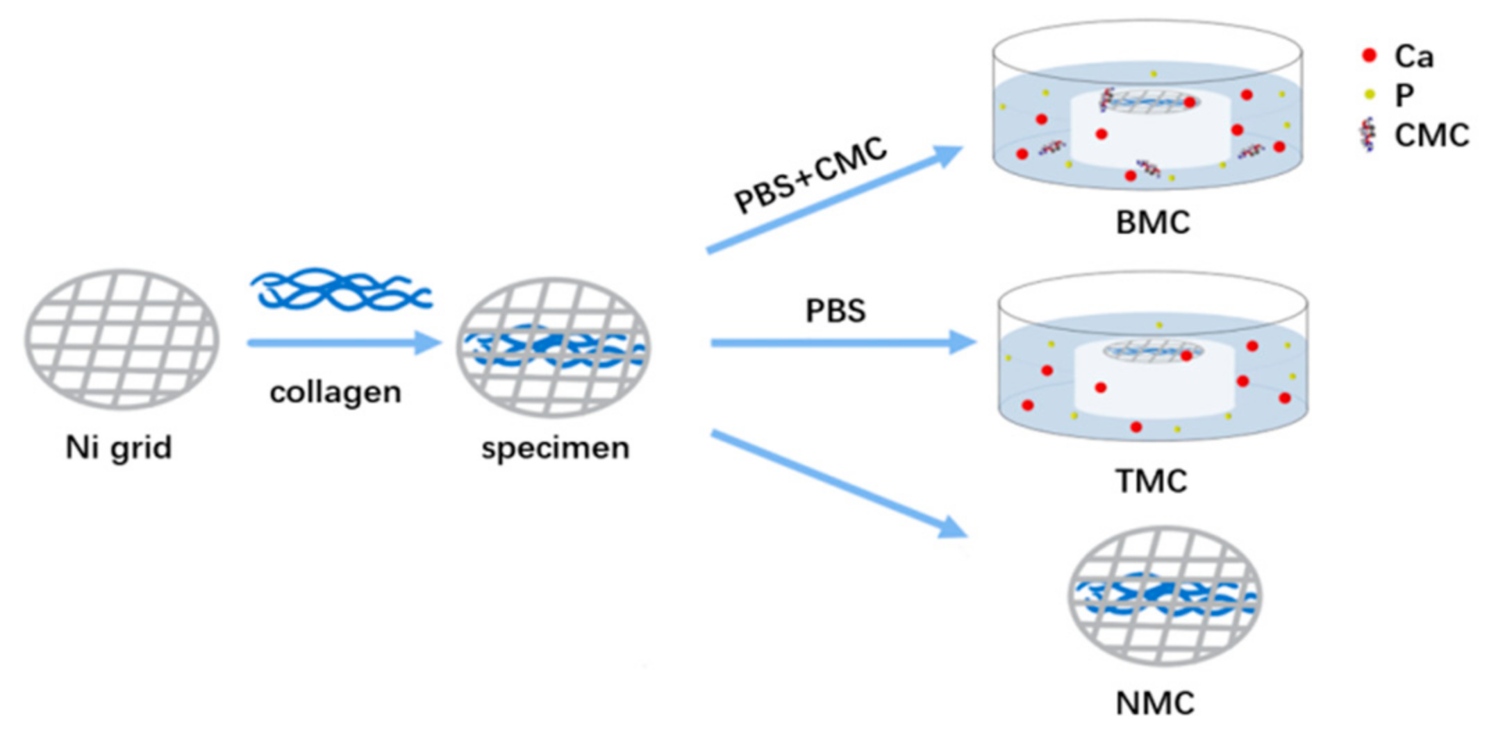 Materials 15 04835 g001