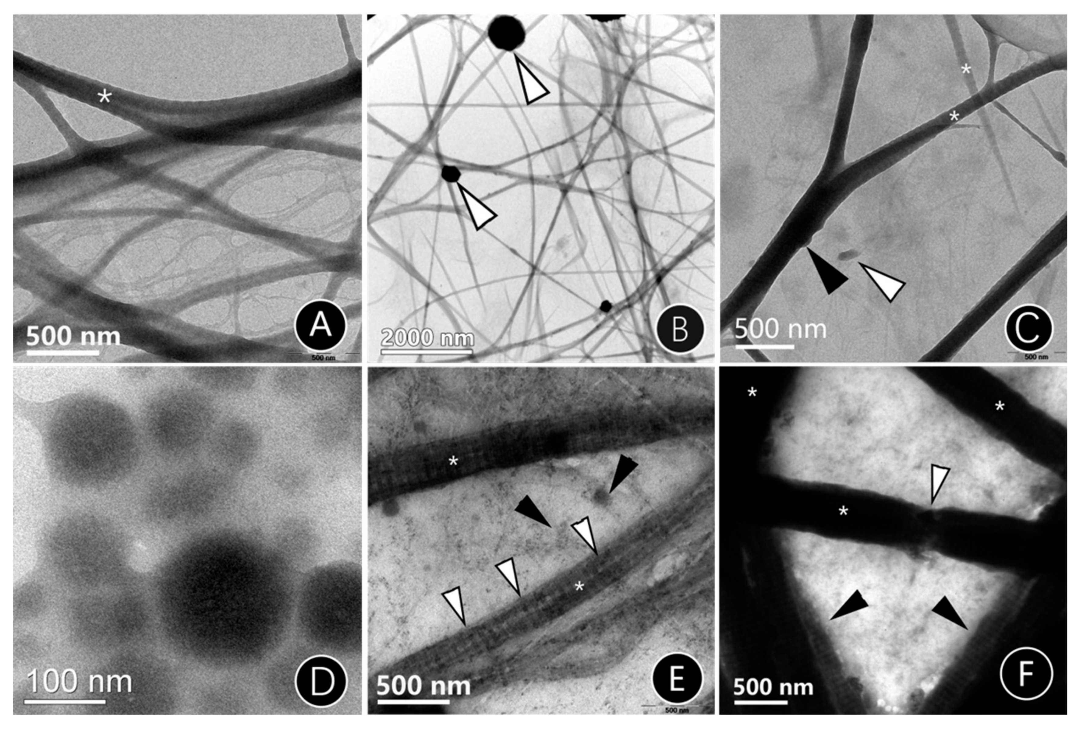 Materials 15 04835 g002