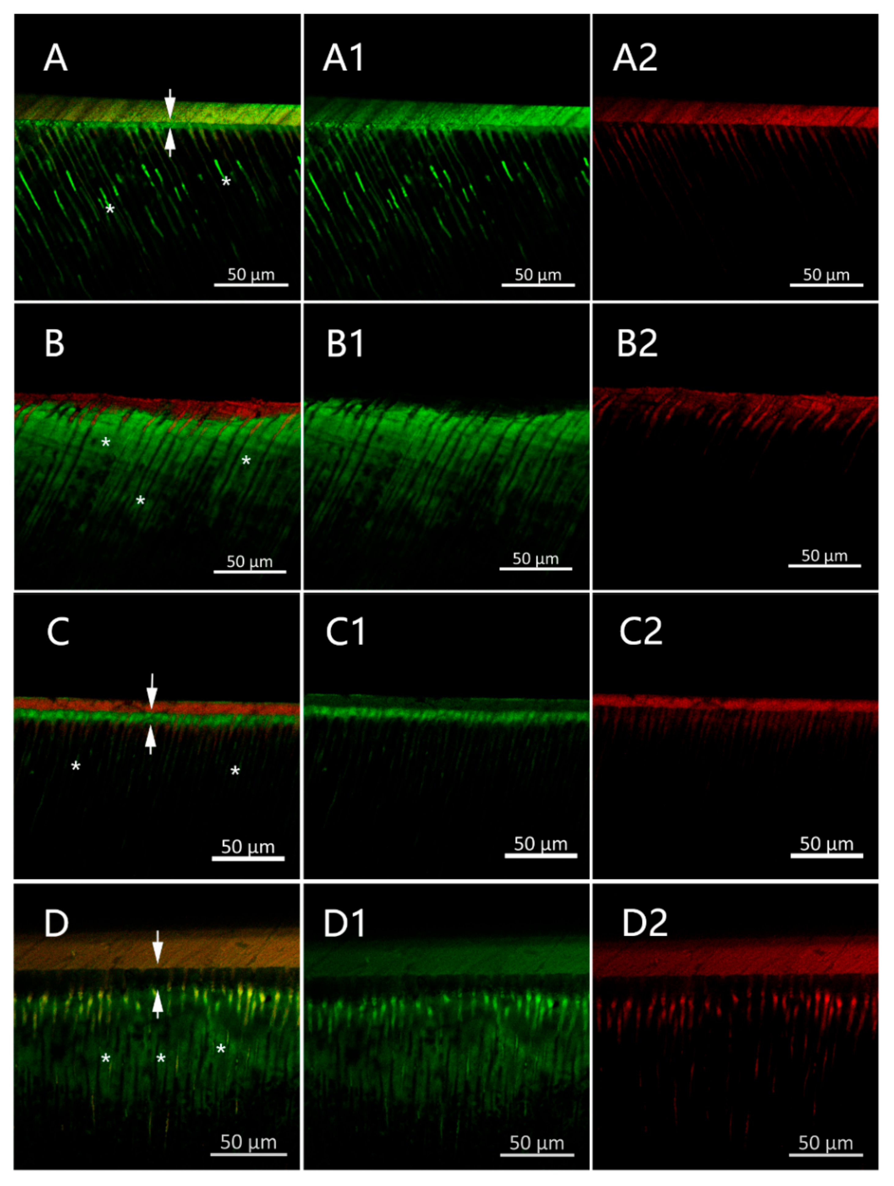 Materials 15 04835 g006